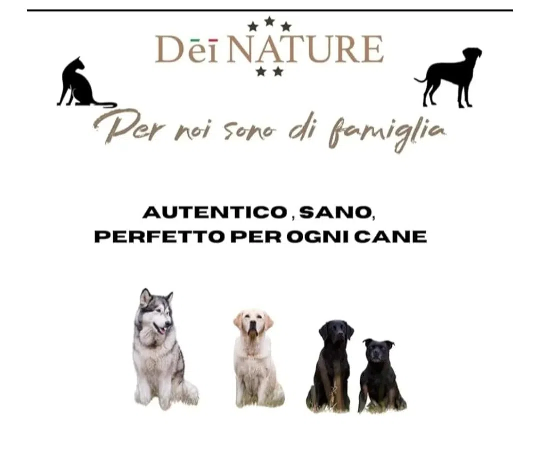 Orecchie di Coniglio Naturali, 32 Pezzi, Snack Masticativo Premium per Cani, Dieta BARF