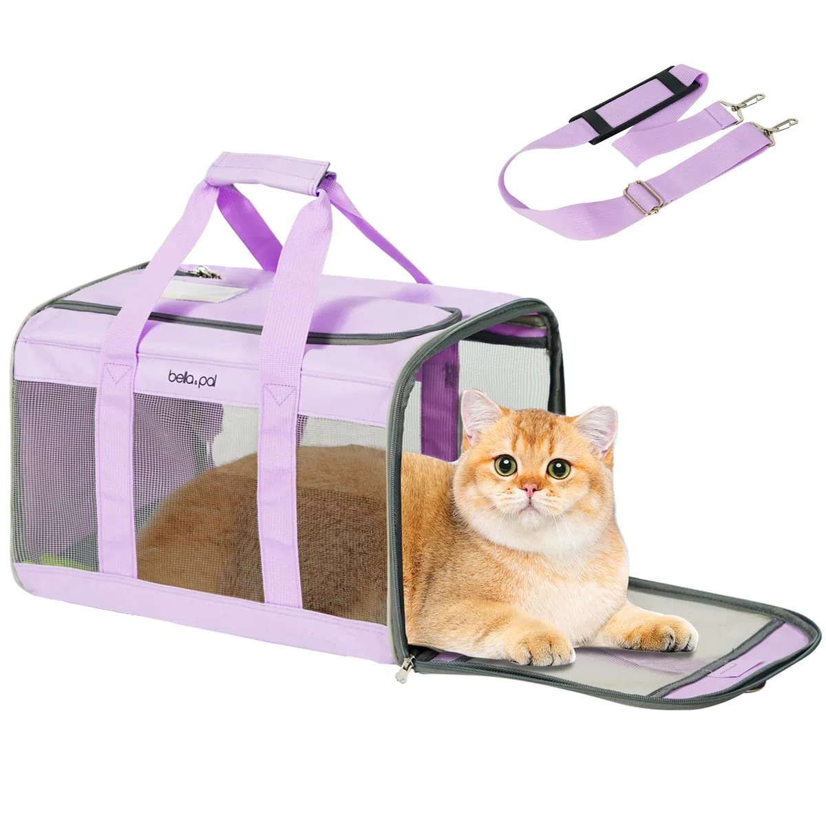 BELLA & PAL Trasportino Portatile per Gatti/Cuccioli, Borsa da Viaggio per Animali Domestici, Borsa per Gatti Ripiegabile con Tessuto Antigraffio, Cerniera Antifuga, Adatto per Viaggio sull’Aereo, M