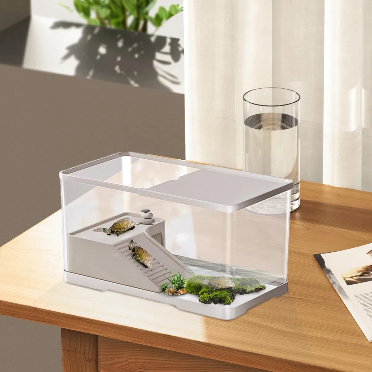 Vasca Tartarughe - Contenitore Per Alimentazione Tartarughiera 360° Trasparente - Acquario Per Tartarughiera Per Scuole Casa Rifugi Animali Educatori Natura Per Tartarughe D’acqua