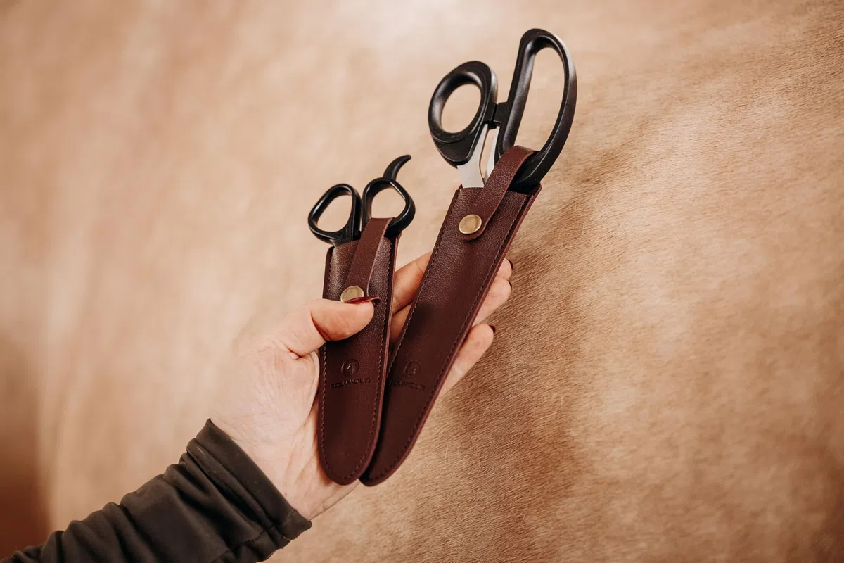 Set di forbici per cavalli, forbici per coda e criniera con custodia, lame affilate in acciaio inox, ergonomiche, ideali per la cura della coda e della criniera, incluso