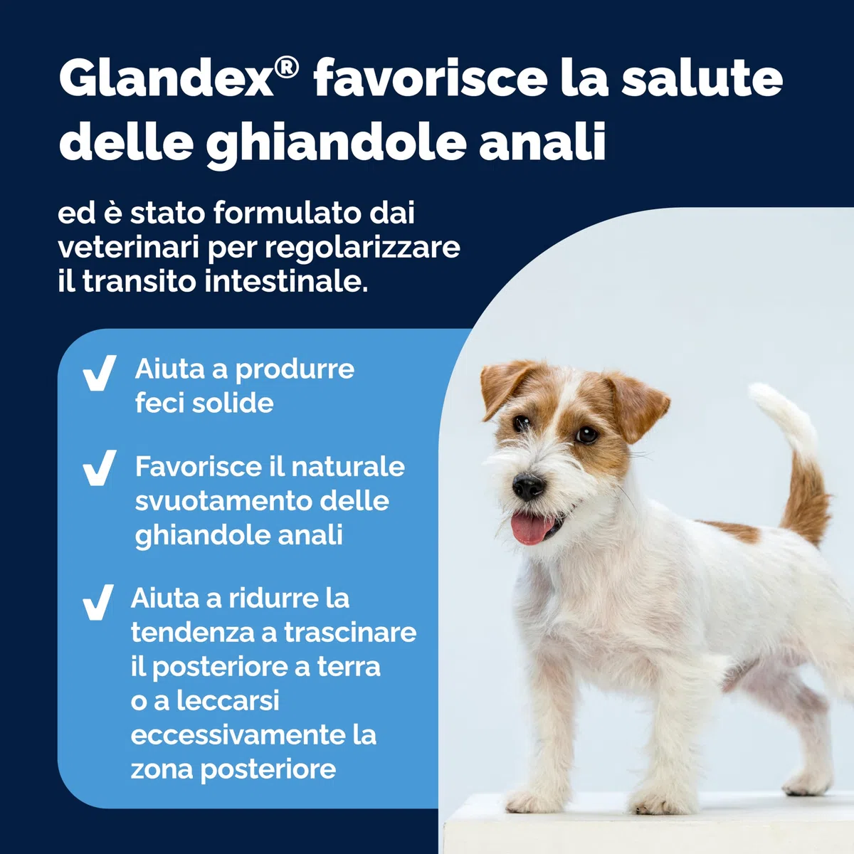 Vetnique Glandex per cani - 30 morbidi bocconcini per la salute delle ghiandole anale - Formulato dai vet, supporta probiotico e prebiotici digestivo - Omega-3, pectina di mele, semi di zucca e fibre