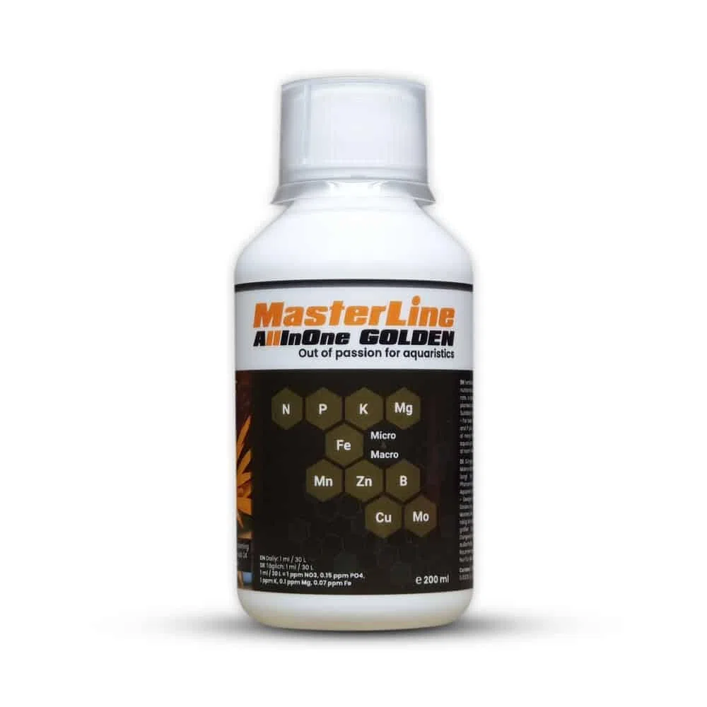 Masterline ALL IN One Golden 200ml