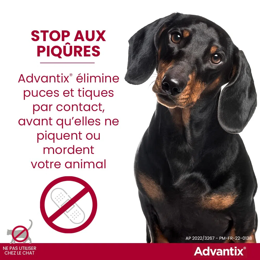 ADVANTIX 6 pipettes antiparasitaires - Pour tres petit chien de 1,5 a 4kg