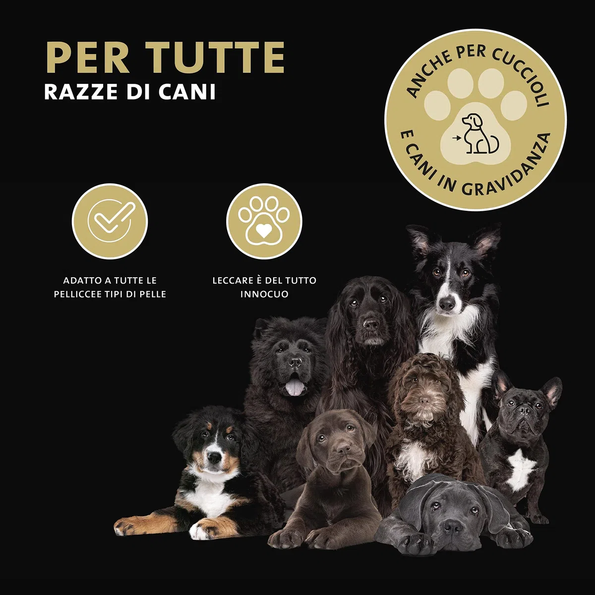 Peticare Balsamo Hot-Spot ed Eczemi Cani – Cura Delicata per Dermatiti Essudanti e Prurito – con Lanolina e Argento Colloidale – Pomata Lenitiva