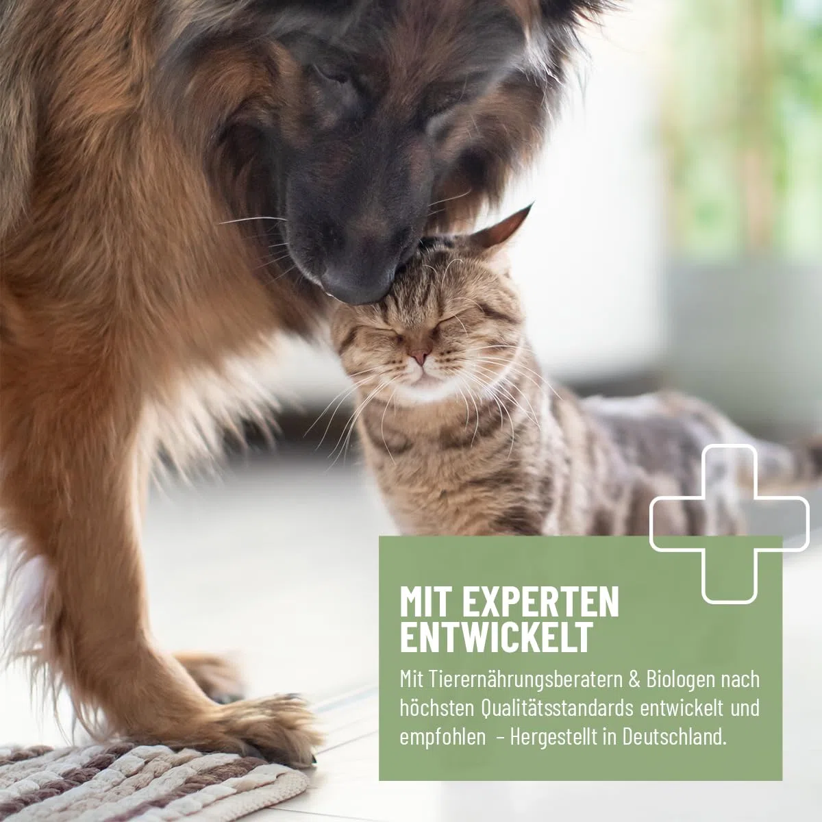 ReaVET Polvere di rosa canina per cani 250 g – Puro naturale di qualità premium, rafforza il sistema immunitario + funzione articolare, ricca di vitamina C I rosa canina polvere per cani e gatti,