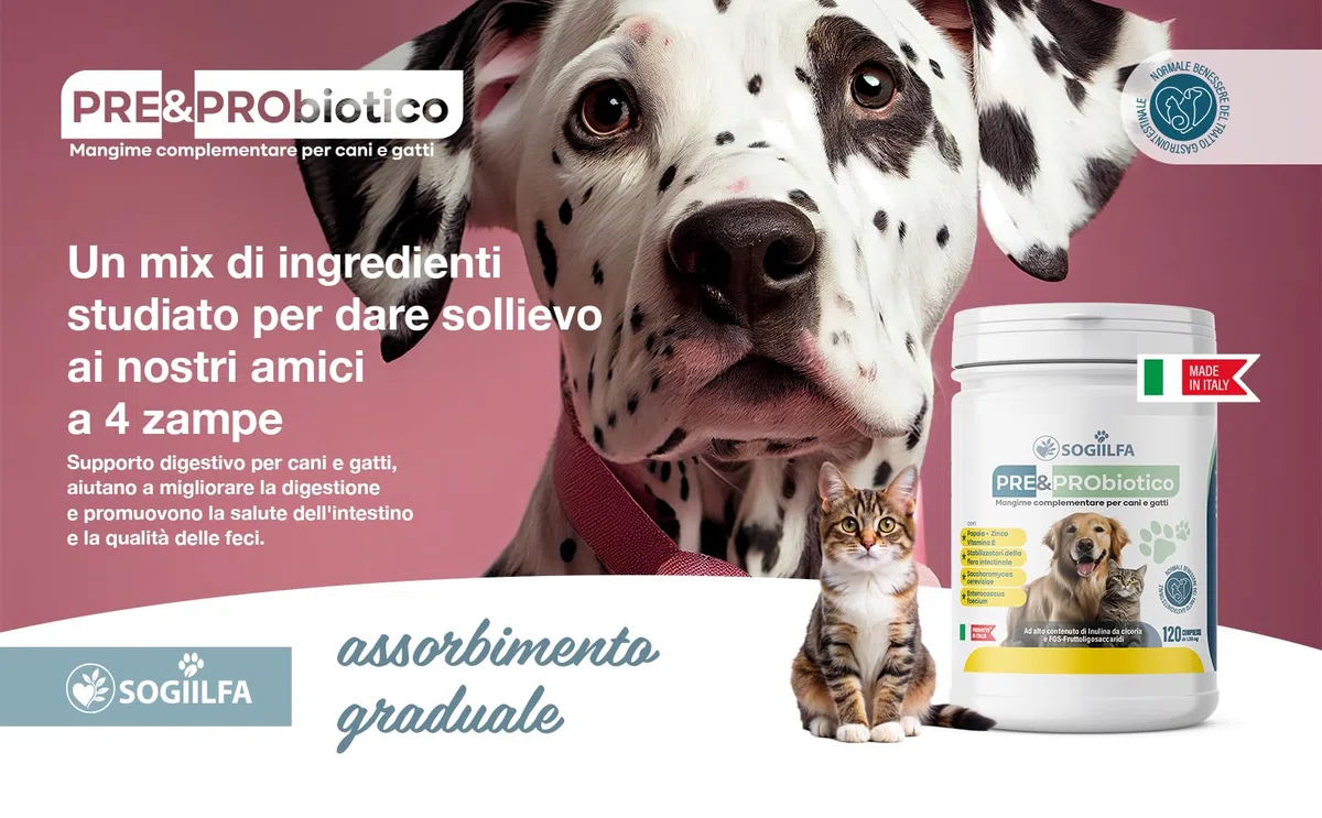 Fermenti lattici cani 120 pz probiotici per cani e gatti, probiotici per intestino con Enzimi digestivi vivi.Probiotico per cani e gatti naturale rilassante. Pastiglie cane per prurito e dermatite