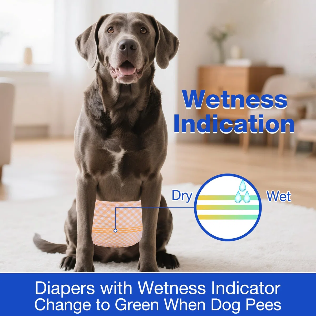 MICOOYO Pannolini usa e getta per cani maschi – Pannolini ad alta assorbenza per incontinenza con indicatore di umidità (XS, Confezione da 50)