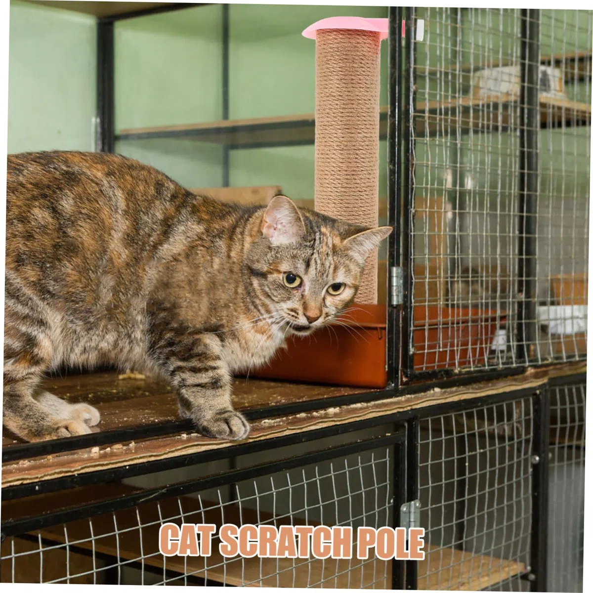 Sosoport Ricambio Tiragraffi Multifunzionale in Corda di Juta Rosa per Gatti Compatibile Gabbia per Uso Indoor e Gatti Piccoli