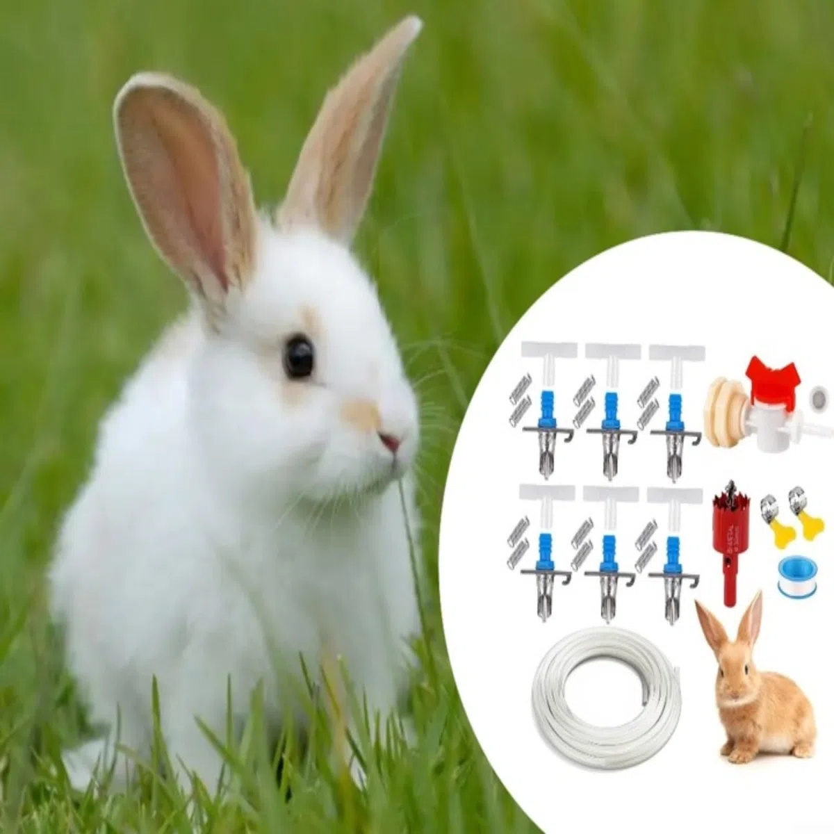 Fontana automatica per conigli, con doppio ugello a molla, per conigliera, gabbia, sistema di idratazione per animali domestici, colore blu (set da 24 pezzi)