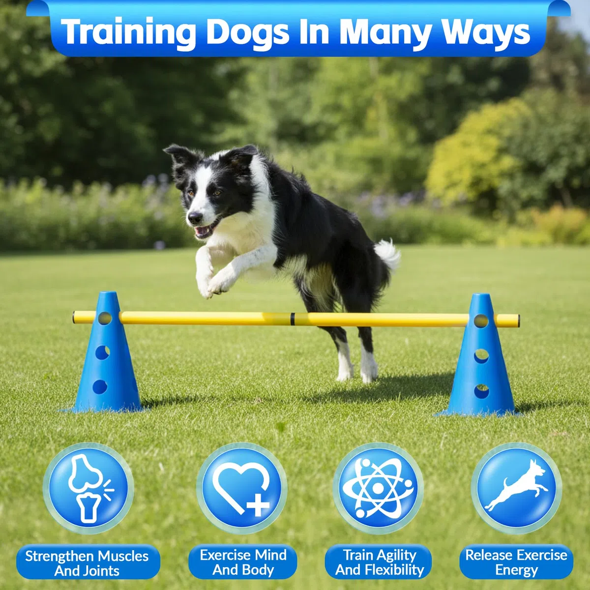 Set Agilità Cani, 8 Coni (24cm) + 4 Aste (81cm), Set Ostacoli Regolabili in Altezza, Cane Cavaletti per Allenamento Cinofilo, Parcour Bambini, Addestramento Cani e Coordinazione Sportiva