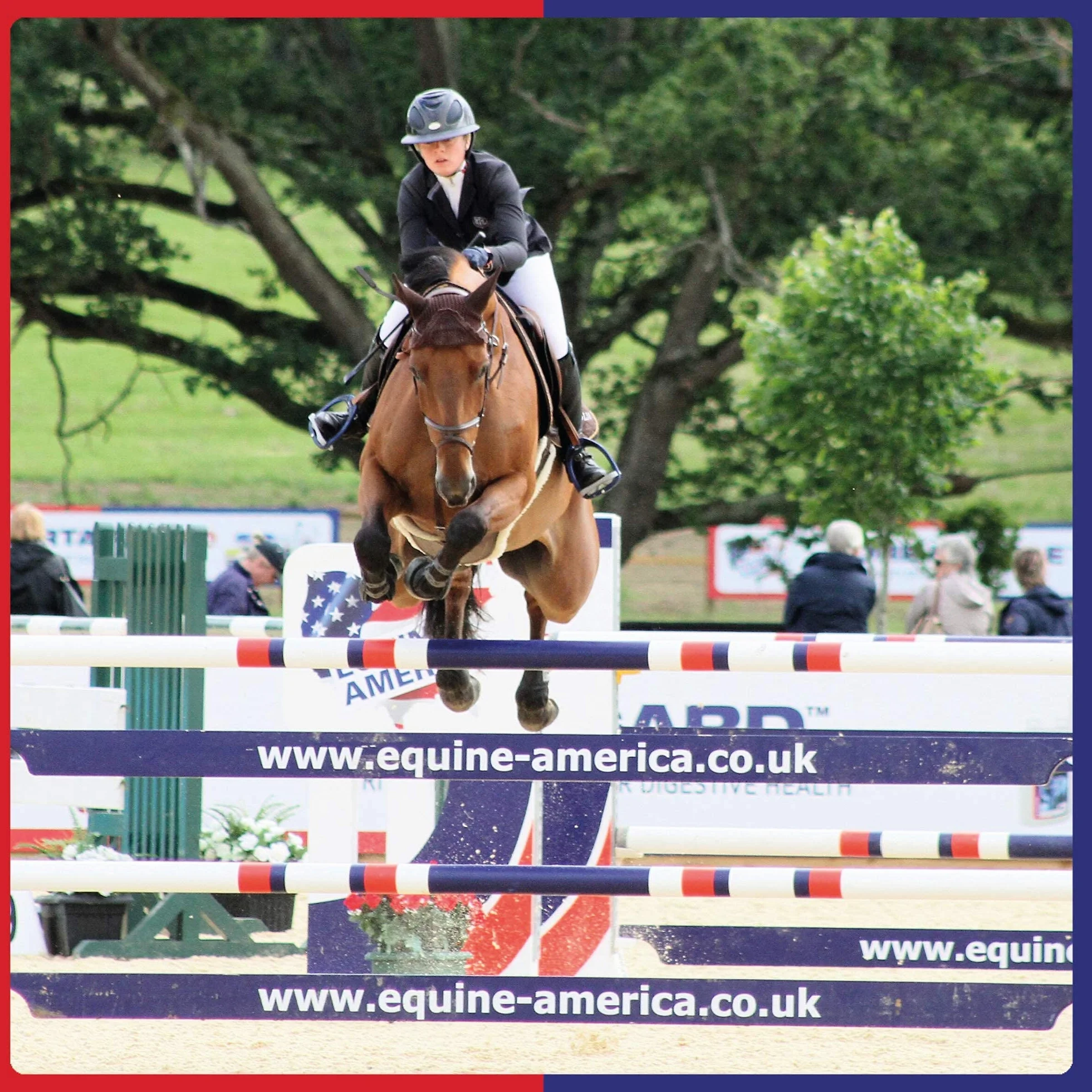 Equine America Biotina Xtra Polvere | Integratore Premium pronto all'uso per cavalli e pony, per supporto zoccolo | 2,5 kg