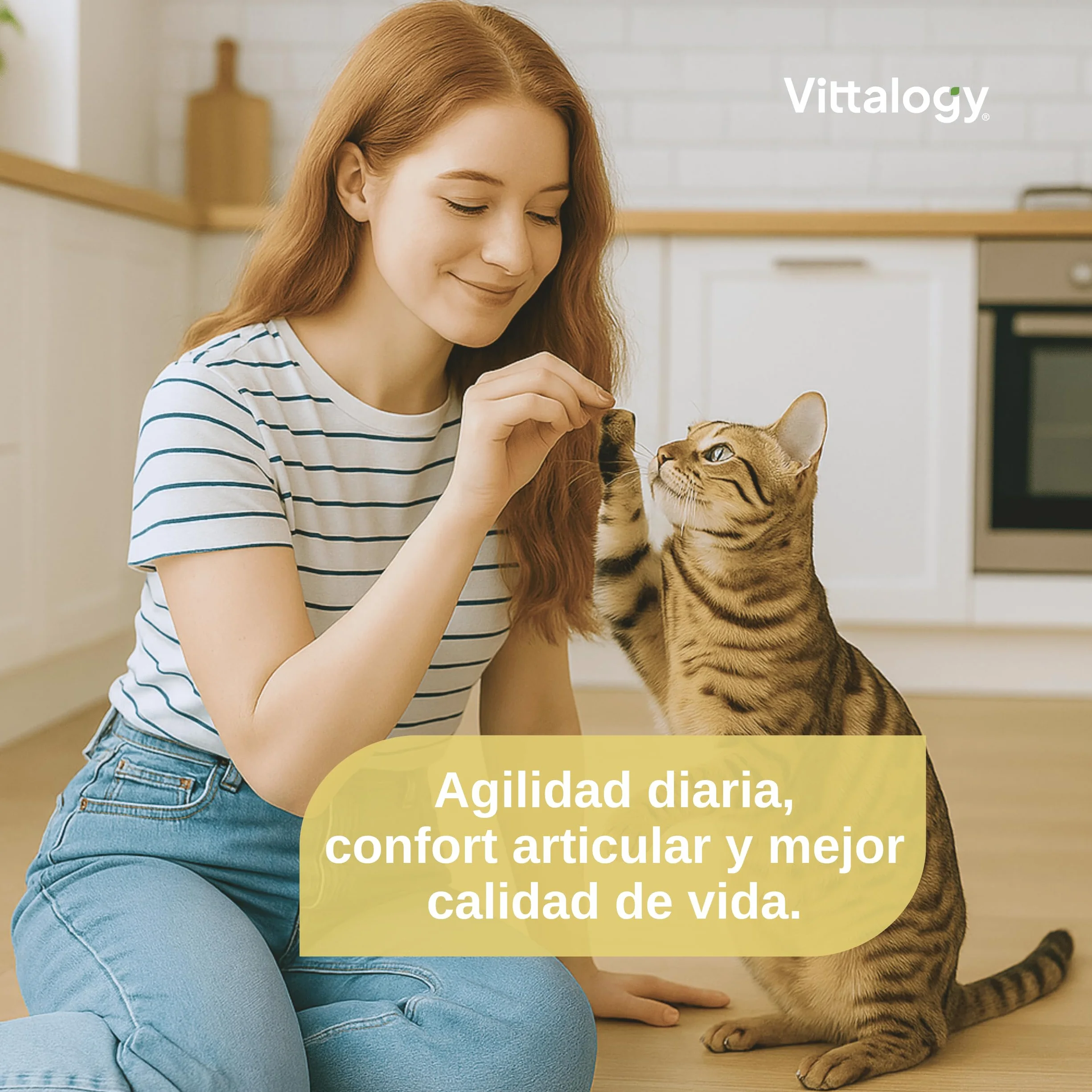 Condroprotettore per gatti. Antinfiammatorio naturale con collagene, condroitina, ialuronico e curcuma. Integratore alimentare per fianchi, articolazioni e cartilagini - 120 capsule