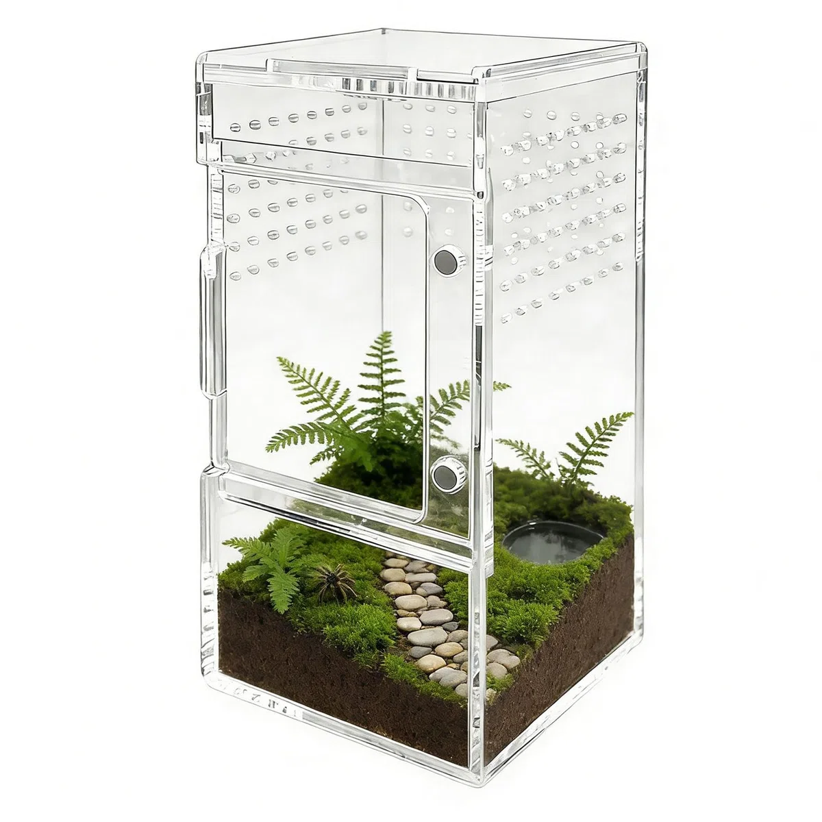Teca Da Saltatori,Terrario Per Rettili Con Ventilazione Trasparente | Con Coperchio Scorrevole Recinto Per Rettili - Per Tartarughe, Gechi, Granchi, Piante e Sabbia