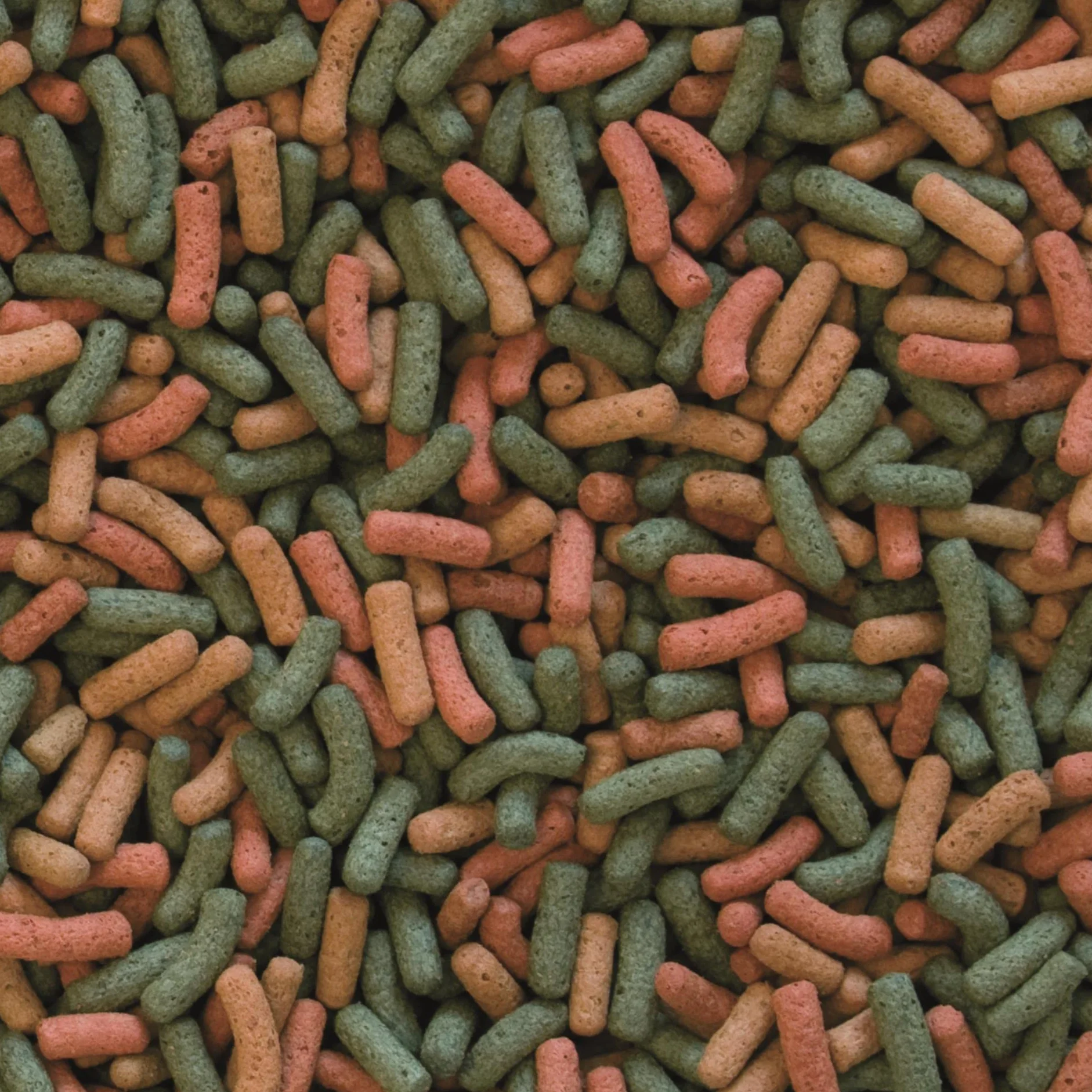 BIOREPT W. 5L / 1.5kg - alimento completo sotto forma di bastoncini per l'alimentazione quotidiana delle tartarughe acquatiche