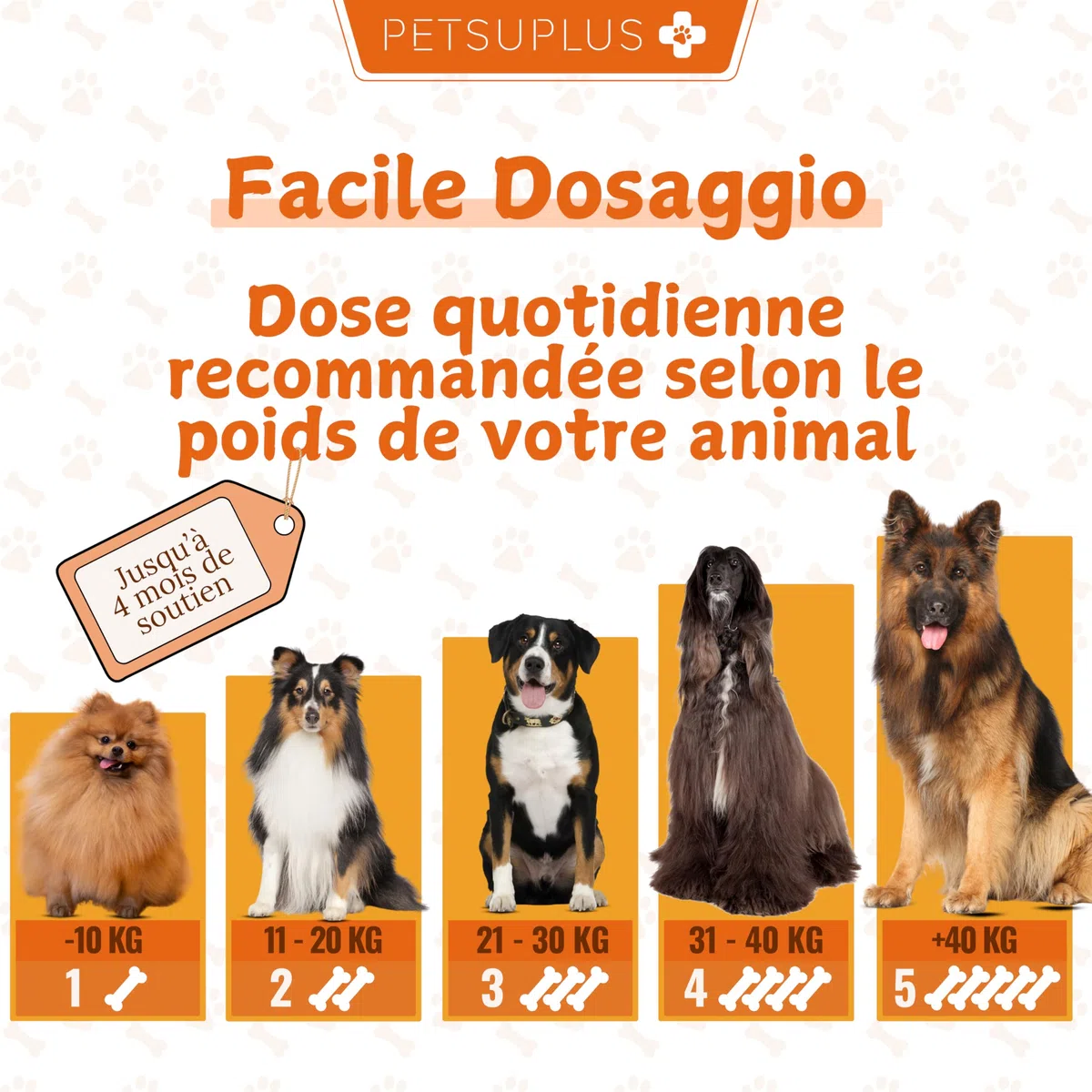 Pelo & Pelle. Integratori per Cani con Vitamine, Omega 3 Cane e Olio di Salmone per Cani. Combatte Sintomi quali Prurito, Pelle secca, Irritazione, perdita di Pelo e Irritabilità. 120 chews
