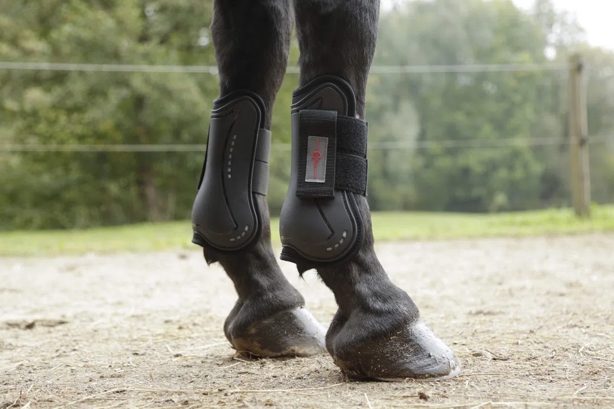 Kerbl Notchy Riding Leggings Covalliero Xara Blue Breeches Warm Lined