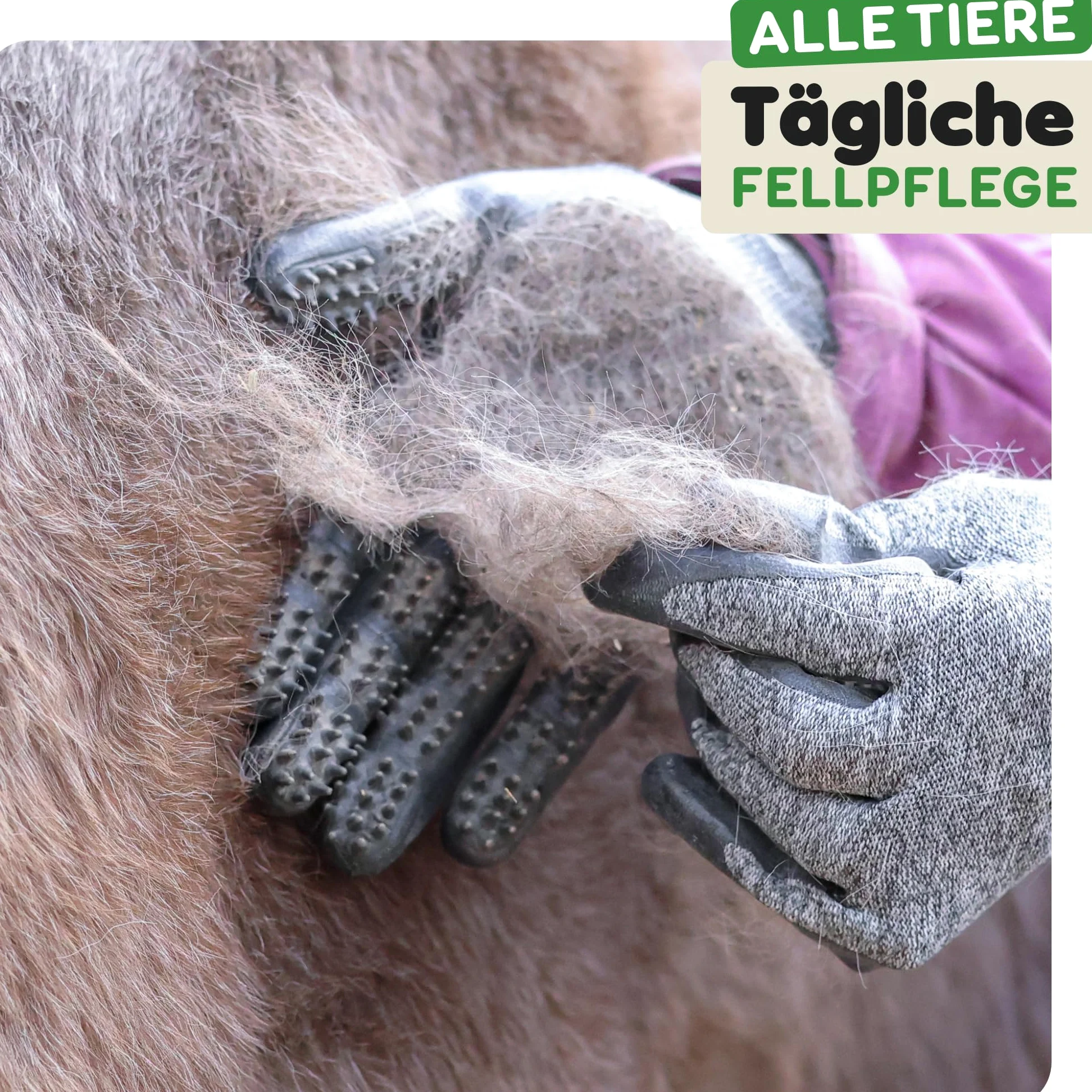 Dr. Zoo Guanti professionali per toelettatura; per qualsiasi animale domestico con pelo corto, medio e lungo; possono essere utilizzati come spazzola per cane/gatto/cavallo o pettine al curry; guanto