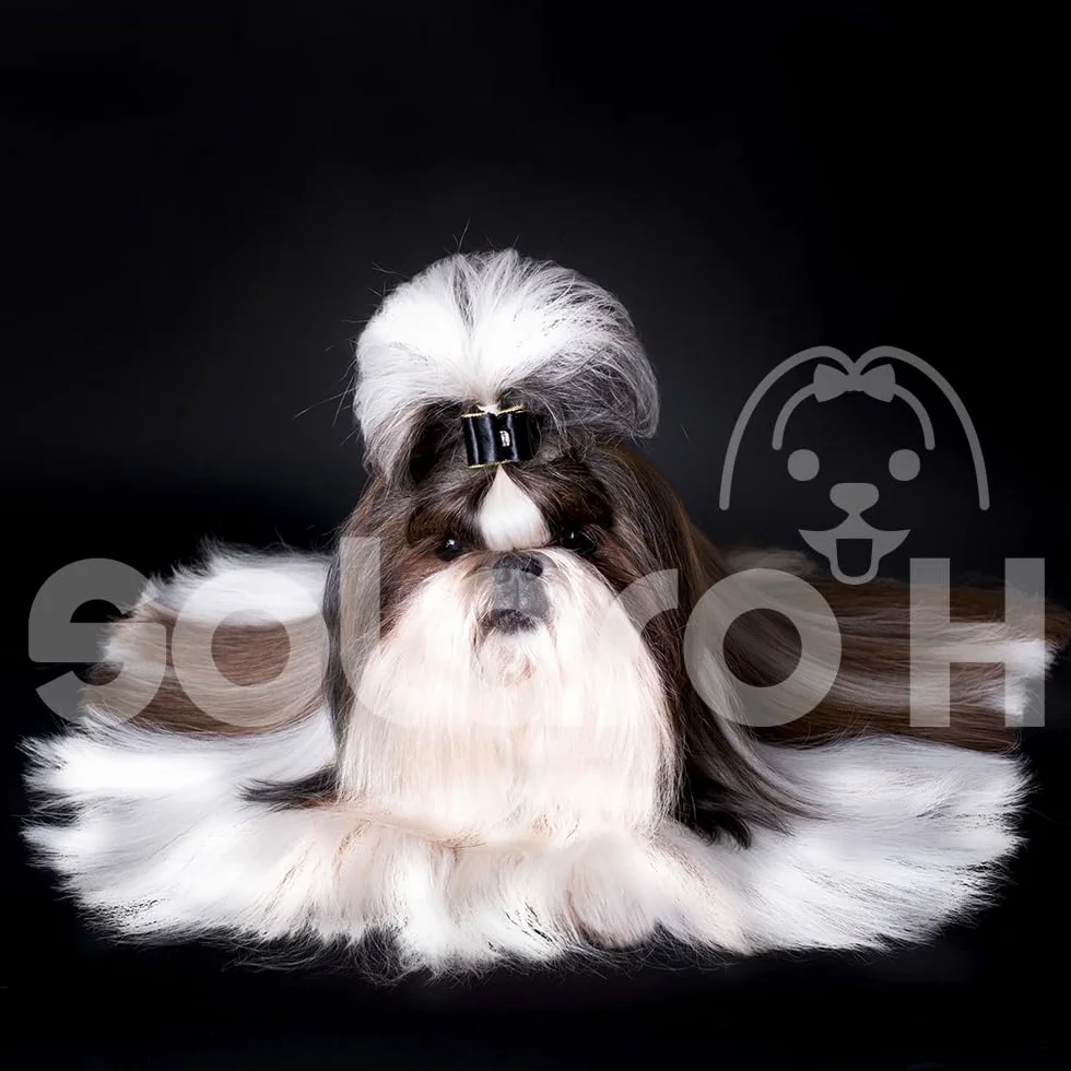 Solaro H | Shampoo per Cani e Gatti Ultra Soft Delicato, Districante, Nutriente per Manti Lunghi 500ml | Made in Italy