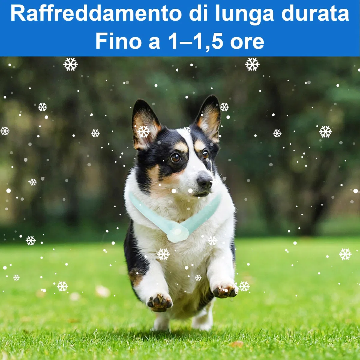 DEWEL Collare di Raffreddamento per Cani,collari per cani di Raffreddamento,Congelamento Rapido a 28 ℃,Sciarpa Pet Cooling Collar per Piccola e Media 47 cm (verde)