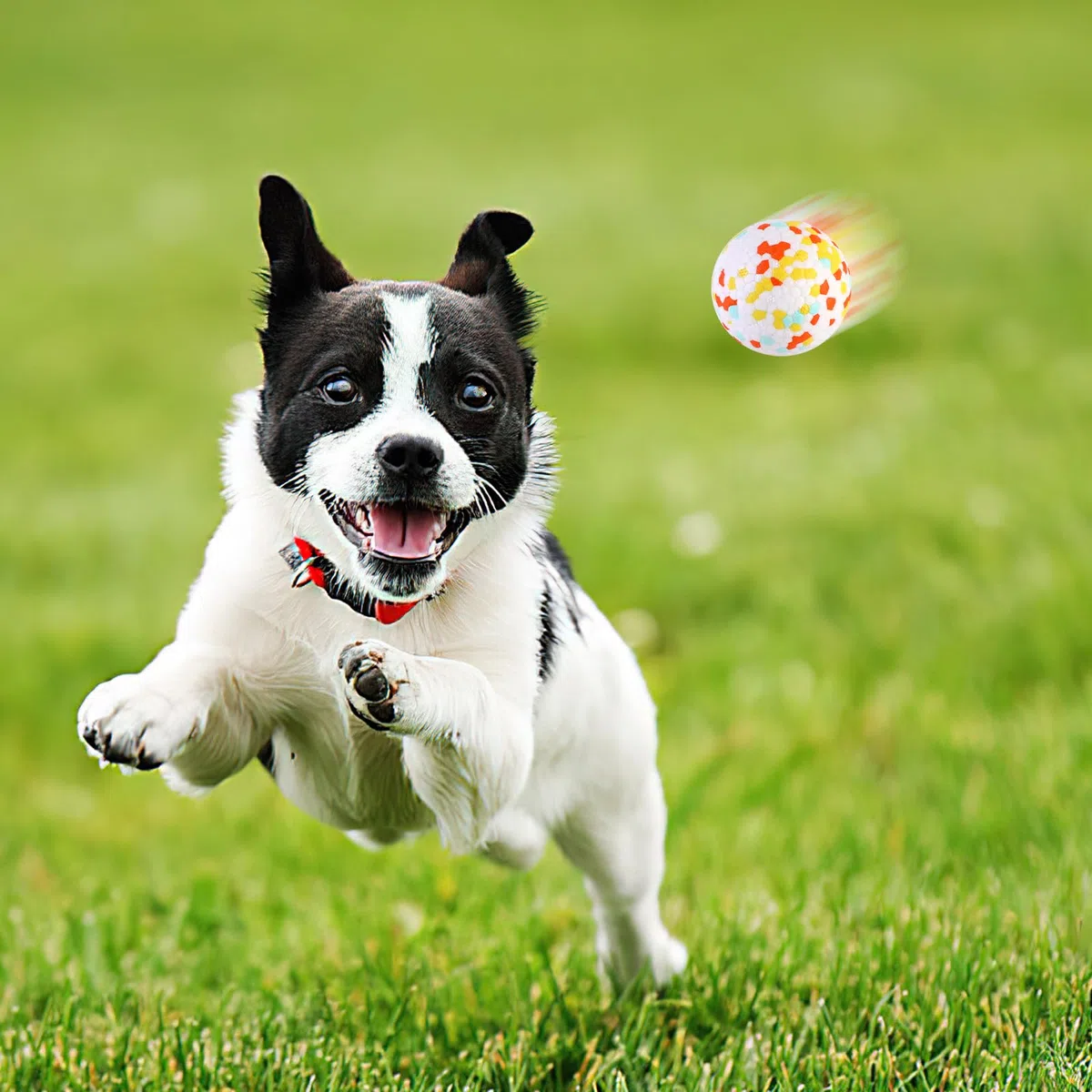 QKURT 3 Pezzi Pallina per Cani,Palla indistruttibile per cani,Alto Rimbalzo Palline per Cane in Gomma,In Acqua Palla Giocattolo per Cani,Palla Interattiva Giocattolo per Cani da Addestramento