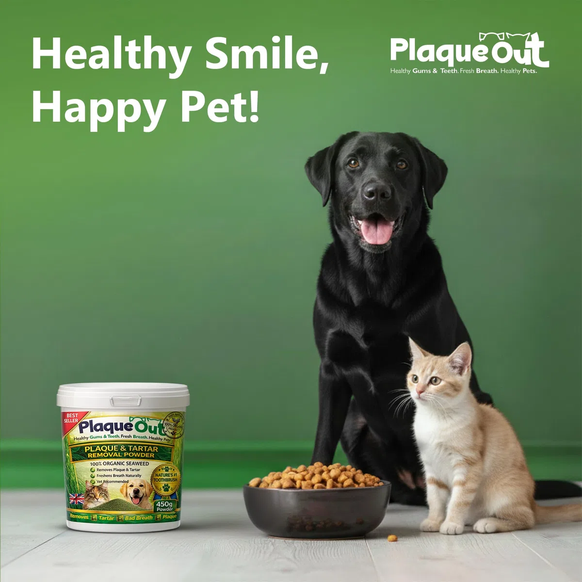 PLAQUE OUT 450G Tartaro e Placca Off Remover, Alito Cattivo Denti Gum Care per Cani, Gatti 100% Biologico