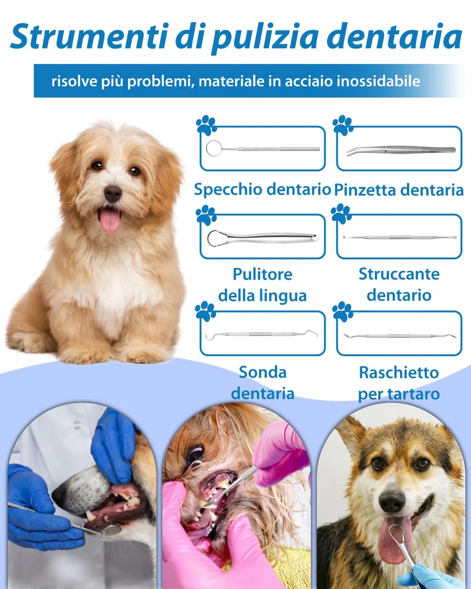 14-in-1 Kit Pulizia Denti Cane - Spazzolino Ultrasuoni Cani con Luce LED, 5 Modalità Elettrico Rimozione Della Placca Dentale per Animali Domestici, Pulisci Togli Tartaro e Macchie per Cani