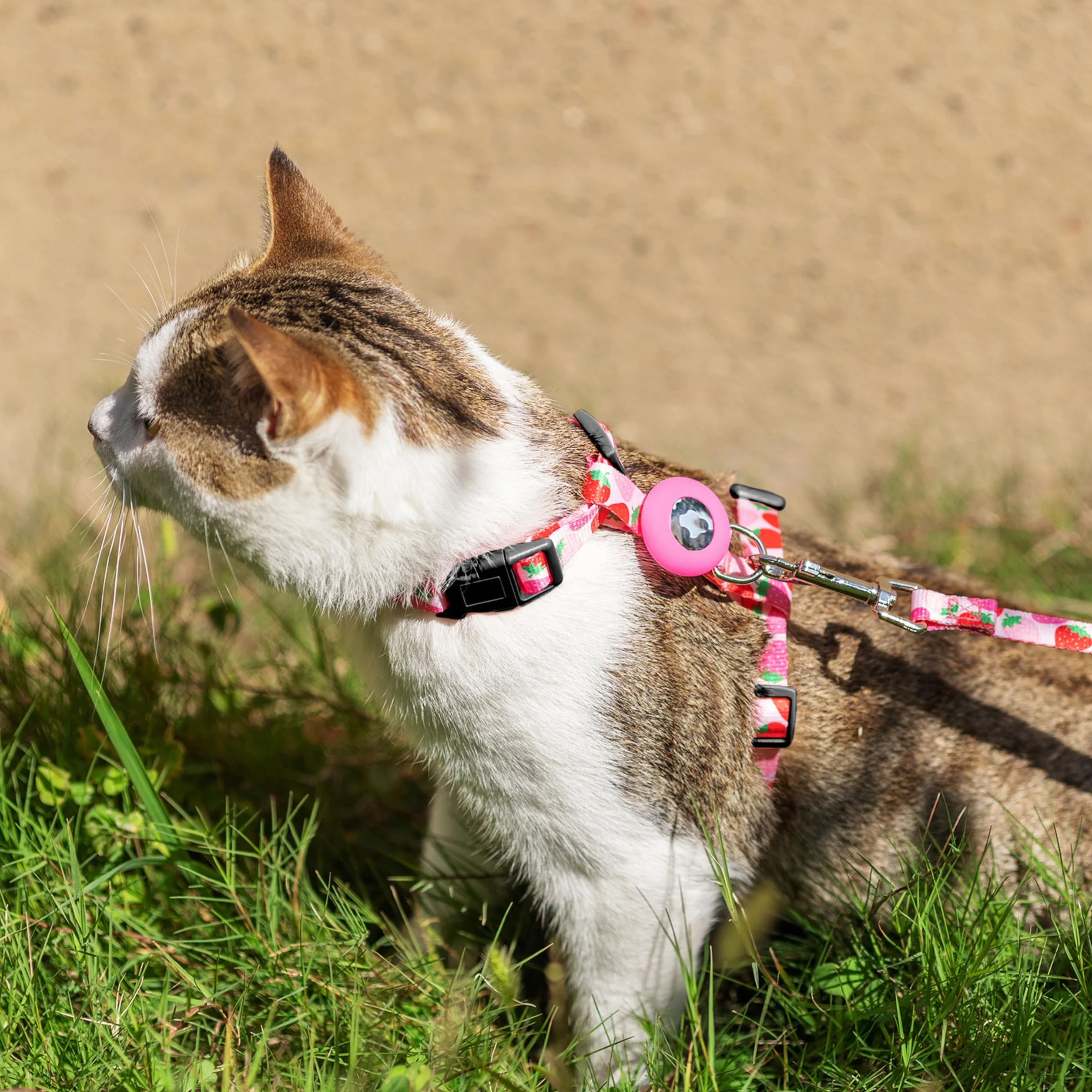 Pettorina e guinzaglio per gatti, a prova di fuga, per camminare, viaggi, attività all'aperto, in nylon, regolabile, con supporto Airtag, per gatti piccoli e grandi