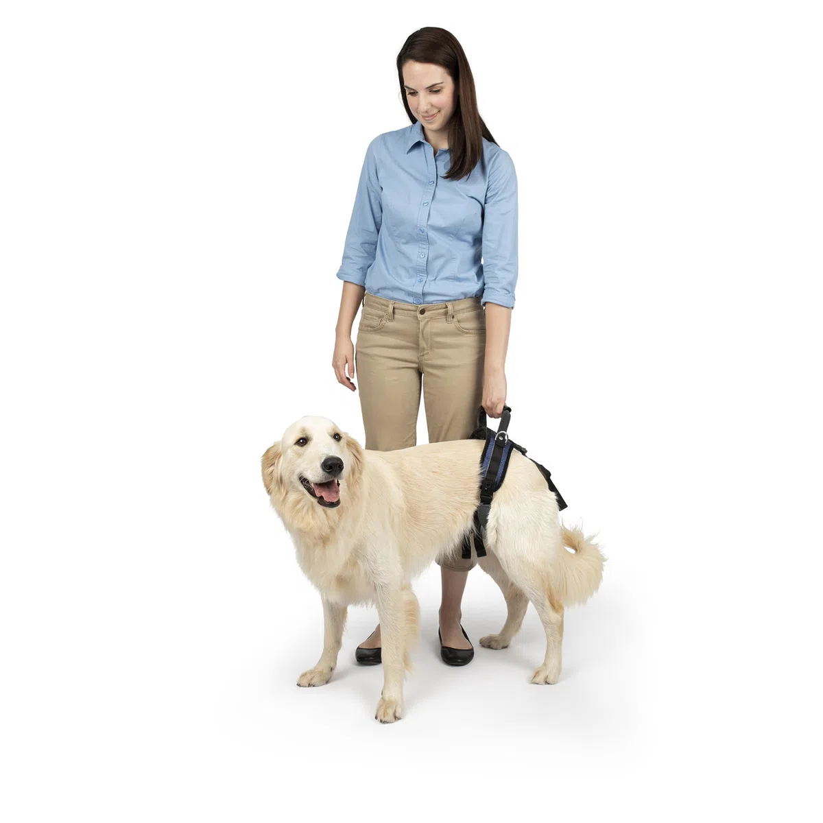 PetSafe Carelift, Pettorina di Supporto Posteriore, Ausilio per Il Sollevamento con Impugnatura e Spallaccio, Adatto a Cani Disabili o Anziani, Comodo, Traspirante, Facile da Regolare, L