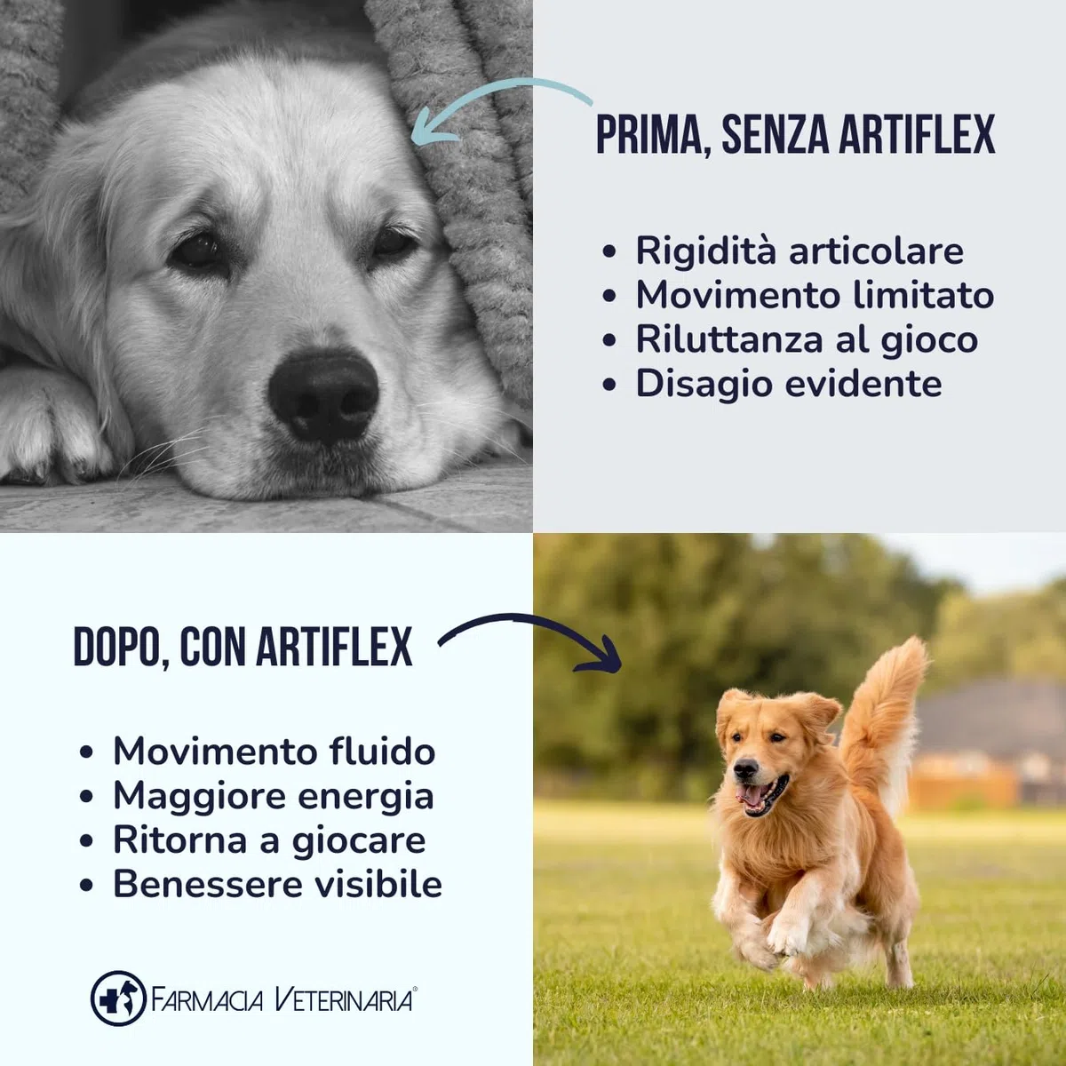 Farmacia Veterinaria Artiflex Integratore Cane Articolazioni in Polvere 500g - Condroprotettori Cane con Condroitina, Glucosamina, MSM, Vitamina C - Made in Italy