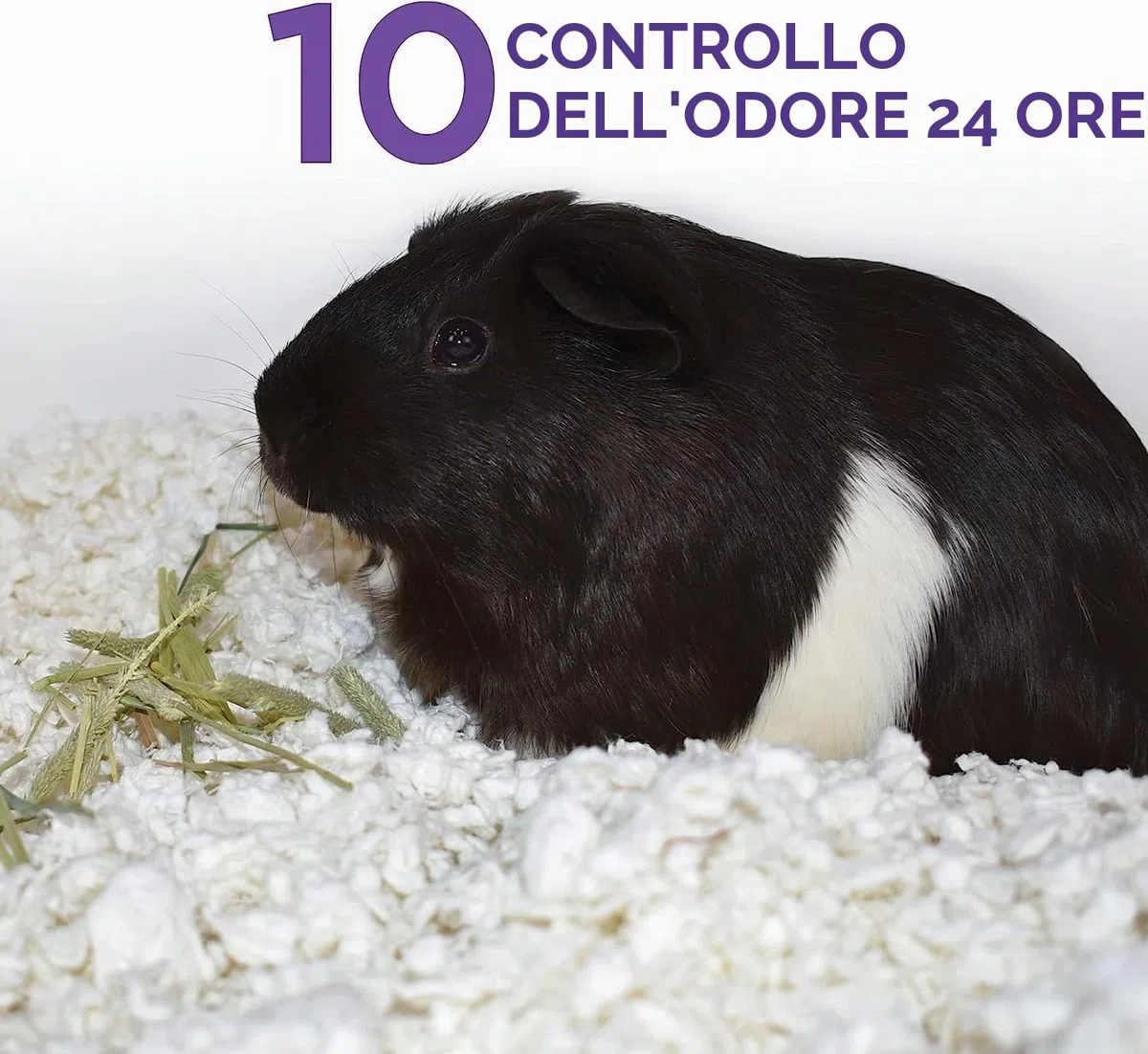 Carefresh - Biancheria da Letto per Animali Domestici