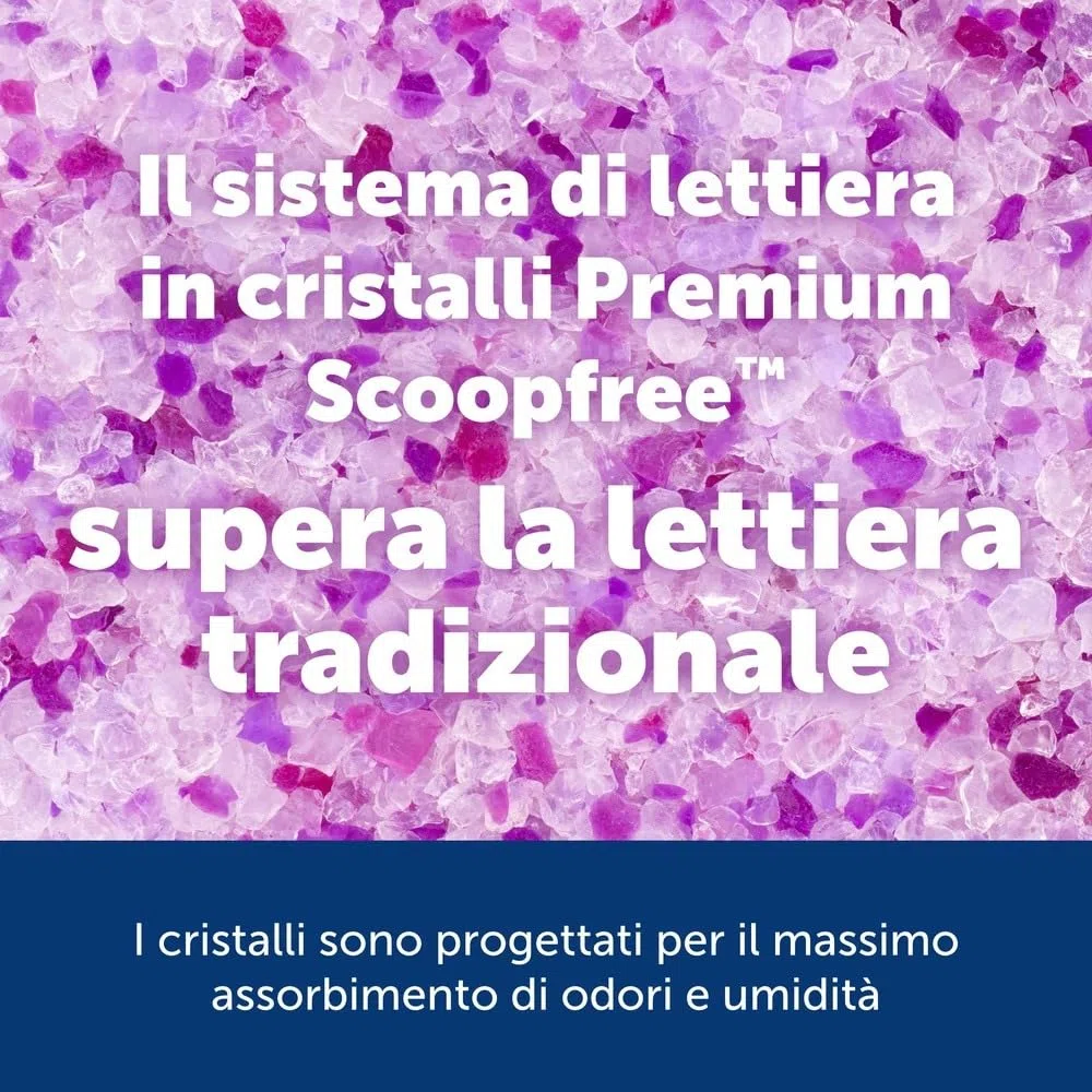 PetSafe - Lettiera per Gatti Premium Non Agglomerante Cristalli ScoopFree - Controllo degli Odori, Bassa Dispersione, Senza Polvere - Lavanda, Confezione da 2