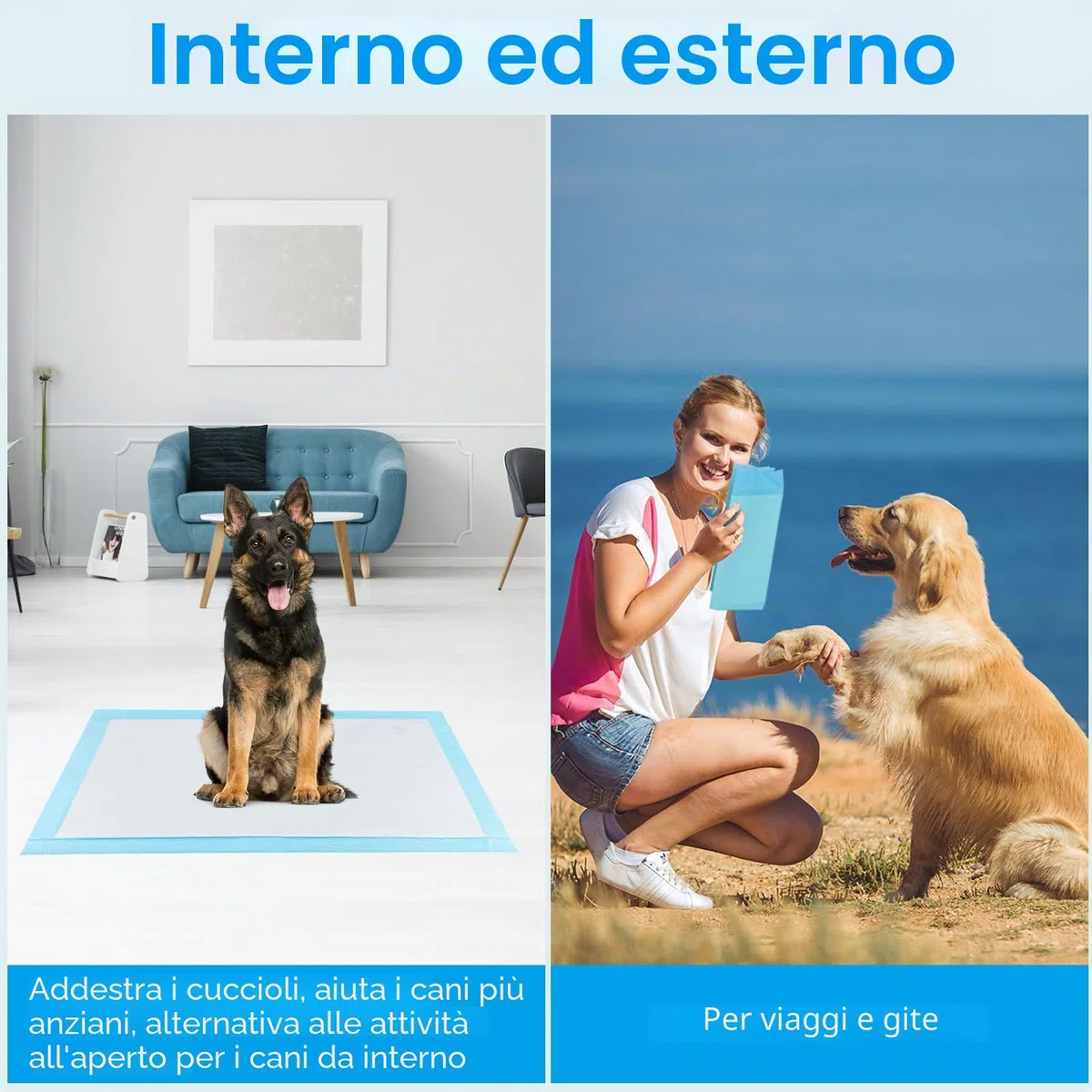 60 Pezzi Tappetini Igienici per Cani, 90 x 60cm Traverse Cani, 5 Strati Tappetini Assorbenti per Cani, Tappetini Cane Superficie ad Asciugatura Rapida