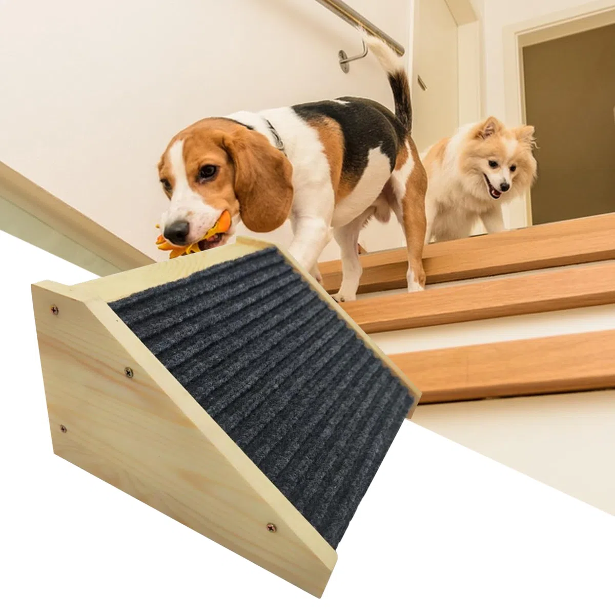 Rampa Per Cani Per Divano | Scalini Per Animali Domestici,Gradini Sicuri Portatili Per Animali Domestici Anziani E Feriti Gatti Per Interni Casa Divano Sofà Letto Soggiorno Camera Da
