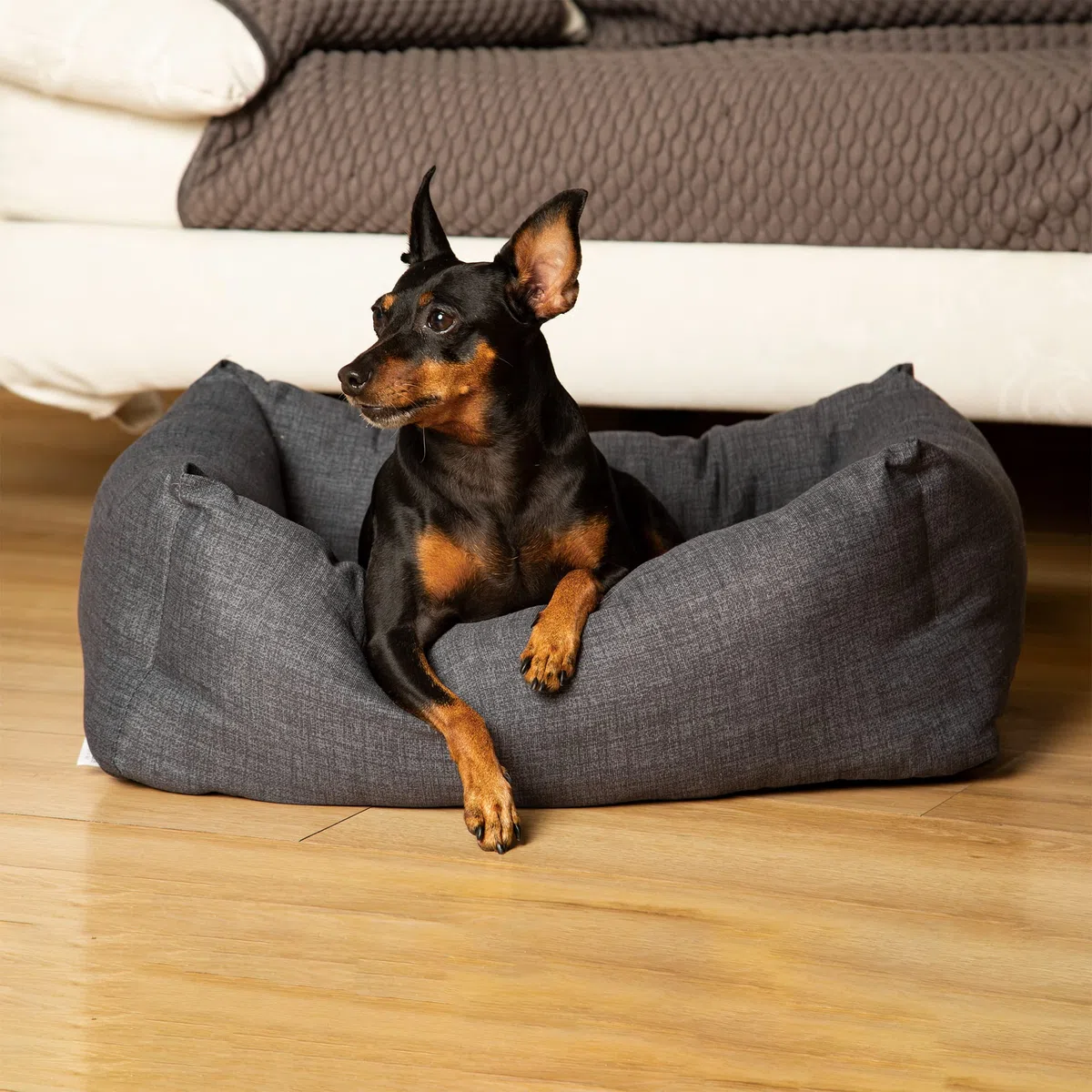 Materasso per Cane rettangolare con bordo rinforzato, L- 70x85 cm - MADE IN ITALY - Morbido Lettino per animali con interno bicolore estraibile, Modello Snuggy - MiaFur
