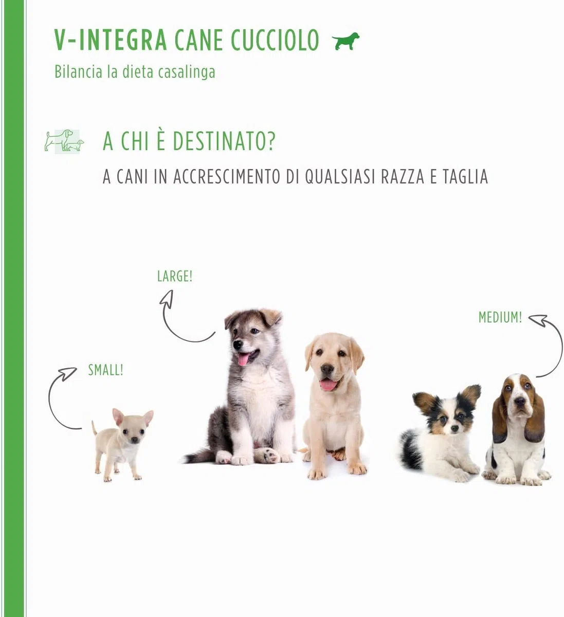 V-INTEGRA Cane Cucciolo 200g, Integratore Completo Ricco di Vitamine e Minerali per Dieta Casalinga e BARF, V Integra Multivitaminico Cane, Made in Italy