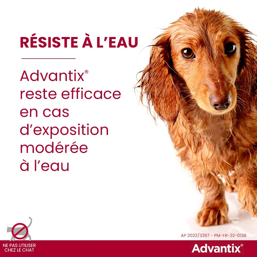 ADVANTIX 6 pipettes antiparasitaires - Pour tres petit chien de 1,5 a 4kg