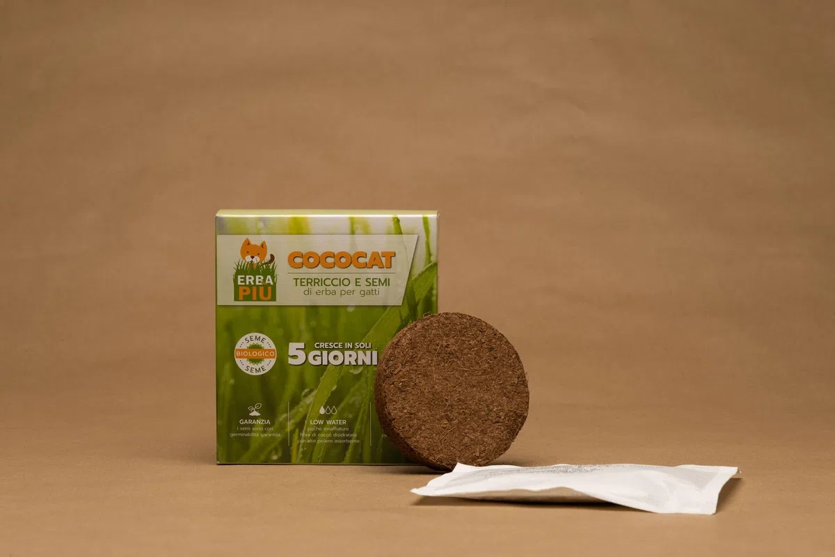 BUNDLE 7+1 Cococat, Kit di Semina per Gatti con Fibra di Cocco, Crescita in 5 Giorni, Senza Plastica, con Semi Biologici e Terriccio Naturale