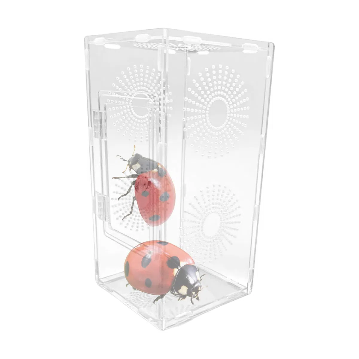 Habitat per ragni che saltano, terrario per piccoli rettili, 30 x 15 x 15 cm, recinzione completamente trasparente, design ventilato sicuro, dimensioni compatte, ideale per bambini, adulti