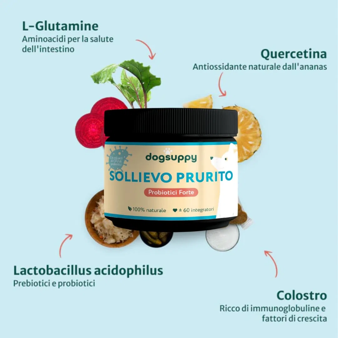 DogSuppy Sollievo Prurito Probiotici per Cani – Ferma Prurito, Grattamento, Leccamento delle Zampe, Allevia Allergie e Lieviti, 100% Naturale, Sostiene Intestino e Immunità, Carne Bovina