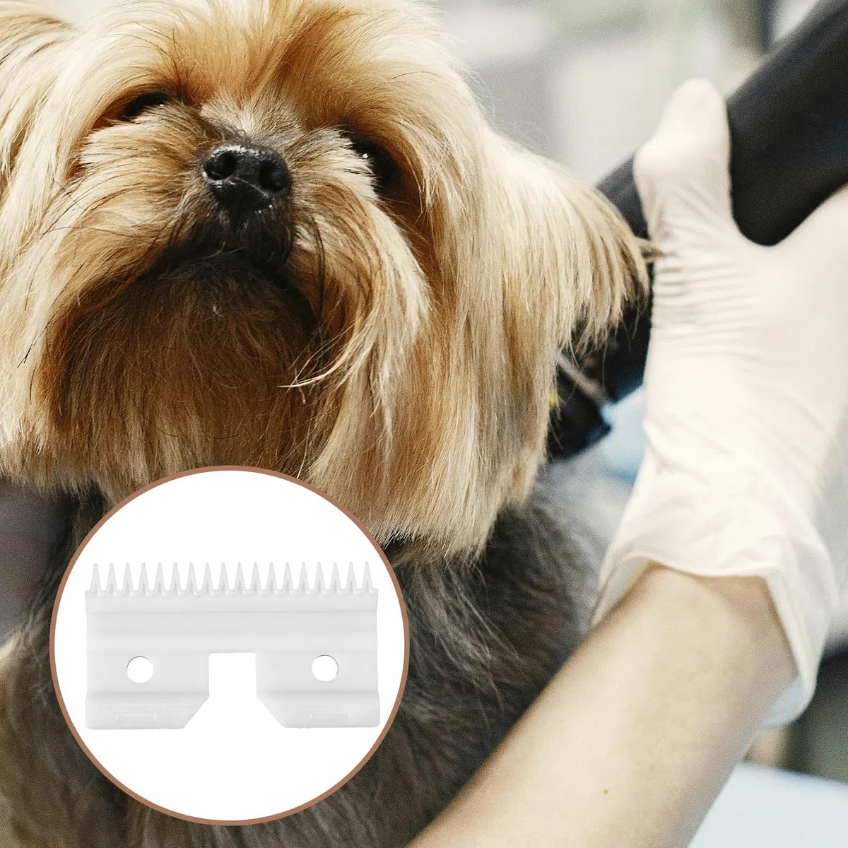 Lama di ricambio per tosatrice Andis, lame staccabili per toelettatura cani da compagnia, lame in ceramica ad alimentazione rapida, compatibile con Andis 64440 Oster A5 KM Series