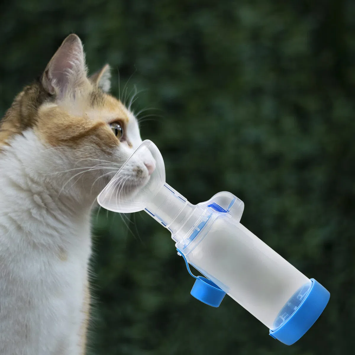 Camera per animali domestici Distanziatore inalatore per gatto o cane Distanziatore portatile con esclusivo indicatore di respirazione (maschera per gatti)