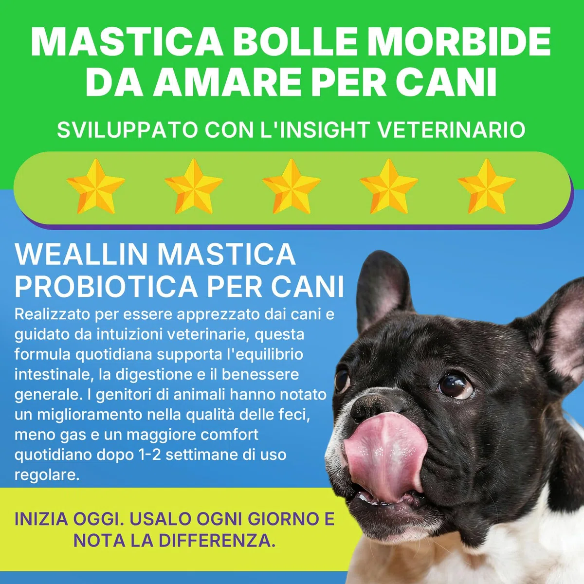 Probiotici per Cani, Prebiotici per la Salute Intestinale–Supporta la Salute Digestiva e l’Assorbimento dei Nutrienti–200 Bocconcini Morbidi che Supportano la Salute della Pelle e la Salute Generale