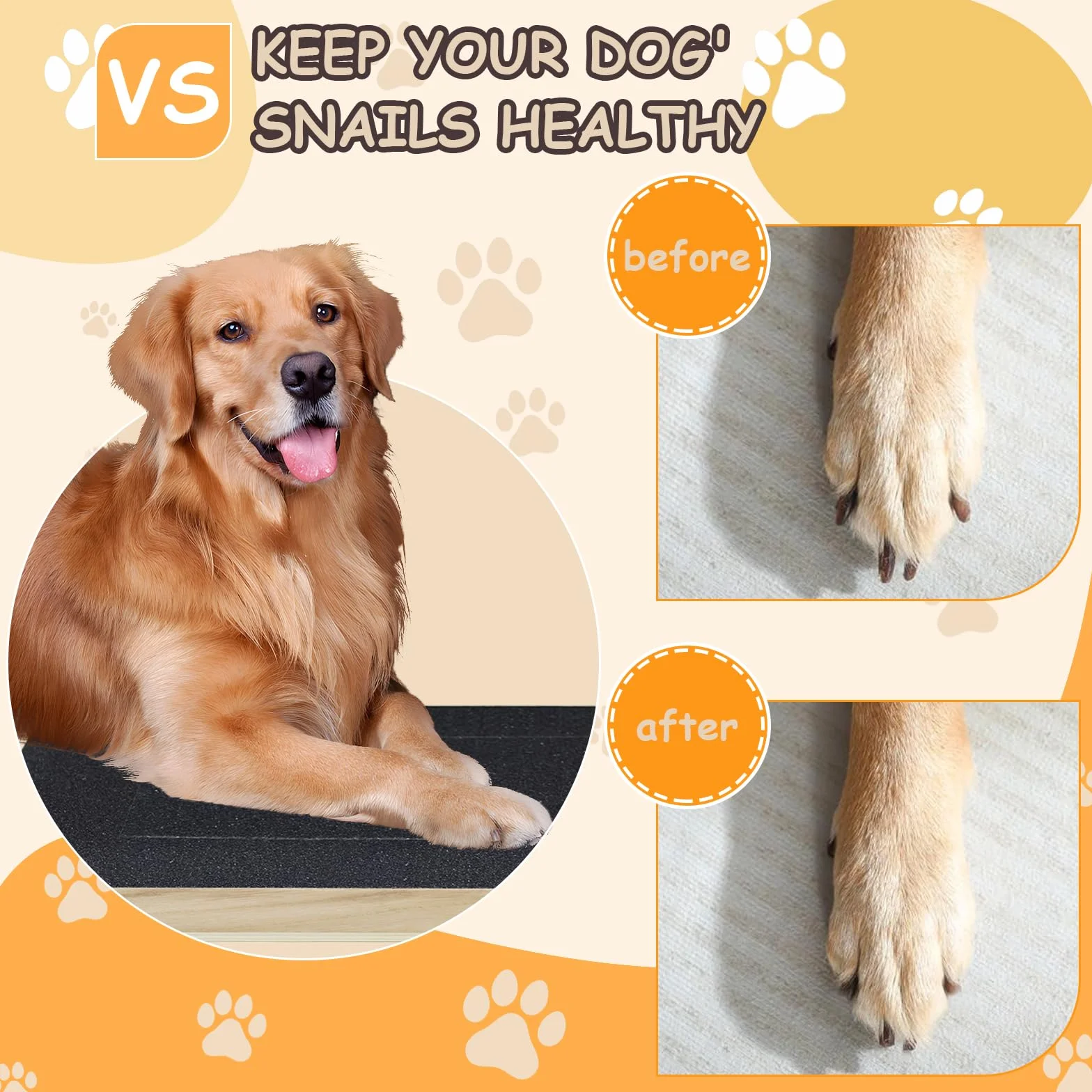 Levigatrice per Artigli per Cani Con Scatola per Snack e Contenitore, Piastra per Tiragraffi per Unghie Senza Stress, Tavola di Carta Vetrata, Scratch Board