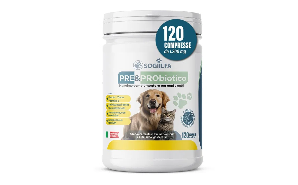 Fermenti lattici cani 120 pz probiotici per cani e gatti, probiotici per intestino con Enzimi digestivi vivi.Probiotico per cani e gatti naturale rilassante. Pastiglie cane per prurito e dermatite