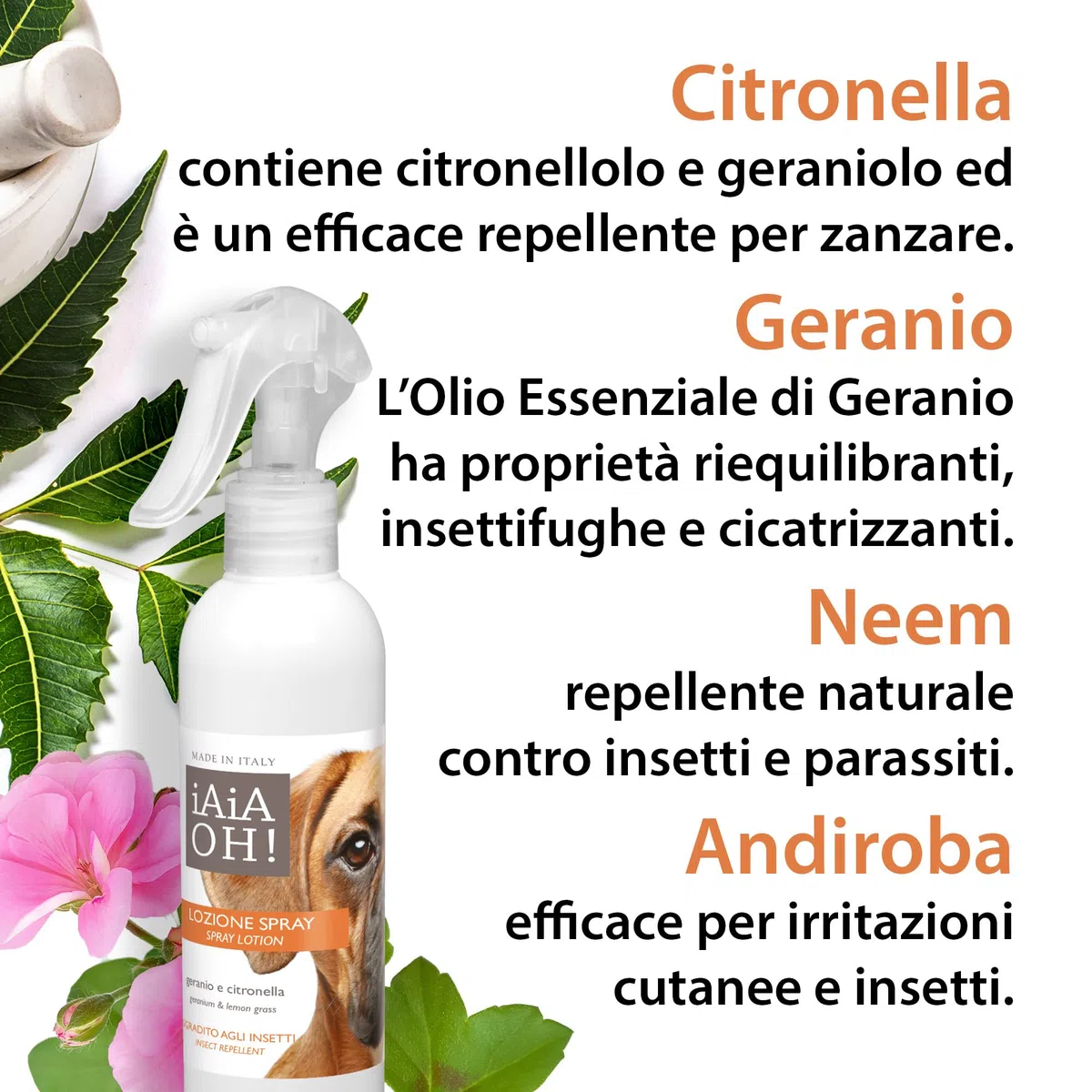 ERBORISTERIA MAGENTINA - IAIAOH! CANE LOZIONE SPRAY GERANIO CITRONELLA 250 ML insettorepellente