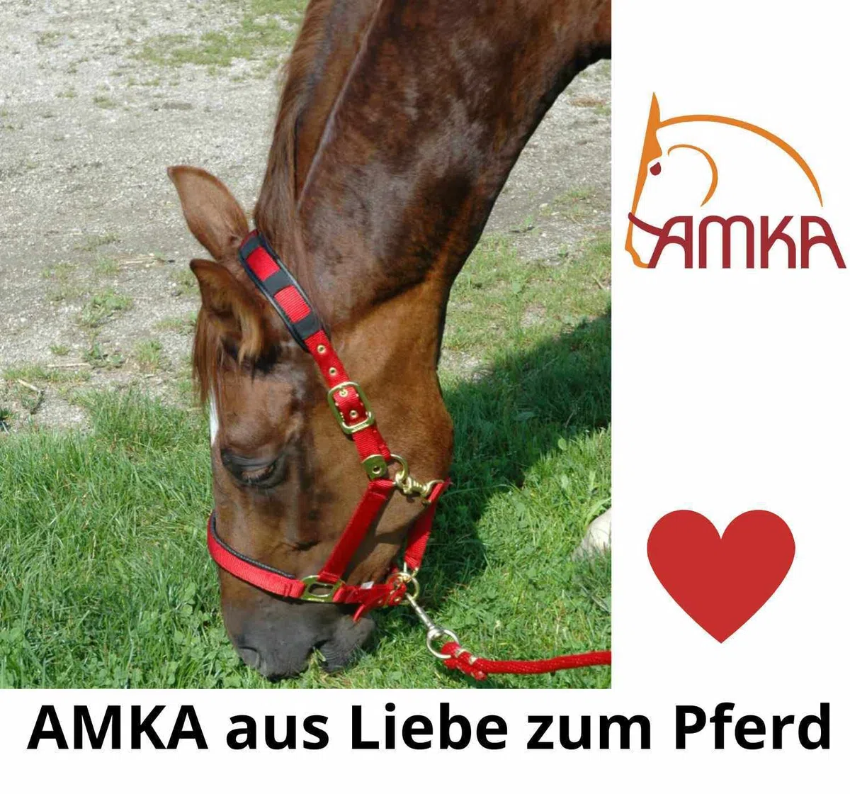 AMKA - Pietra minerale himalayana per leccare il sale, con cordoncino, circa 2-3 kg per pezzo, set da 3 pezzi