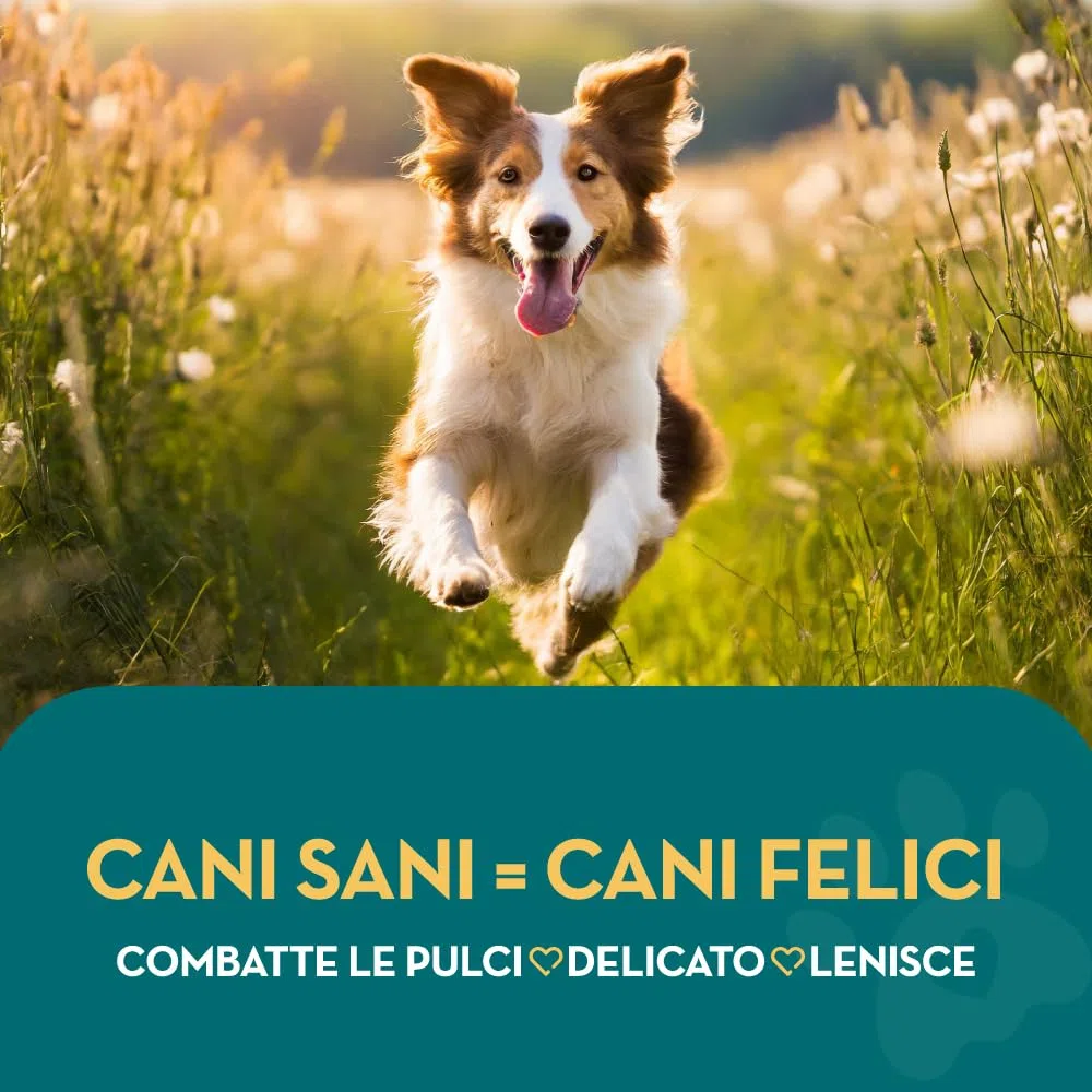 All Natural Shampoo Antipulci | Citronella | 500ml | Il Miglior Trattamento per Cani e Gatti | Formula Sicura ed Efficace | Elimina e Previeni Pulci, Zecche e Pidocchi
