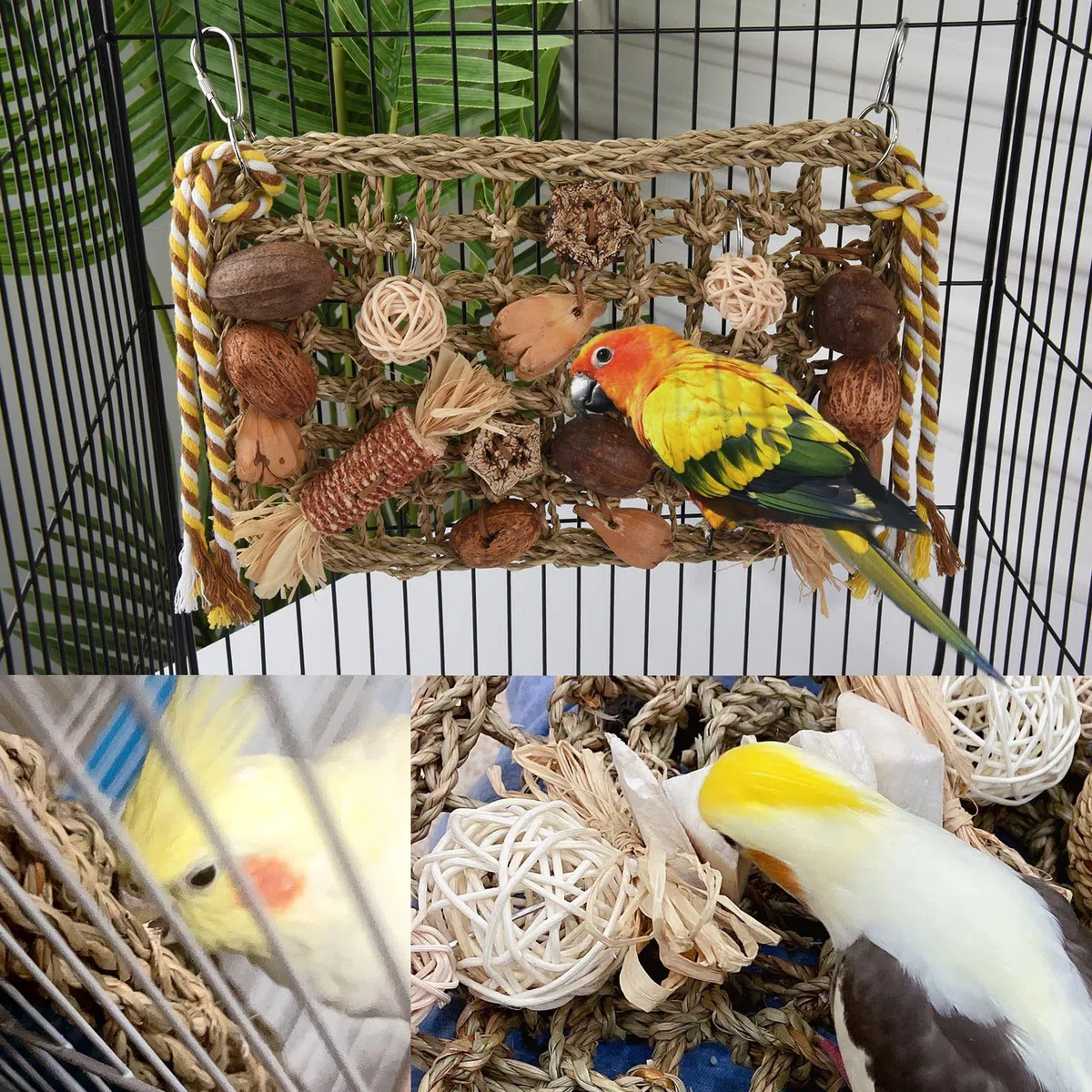 Giochi per Pappagalli, Giochi per Uccelli Pappagallo Giocattolo da Masticare Naturale per Cockatiels, Pappagallini e Uccelli Adorabili