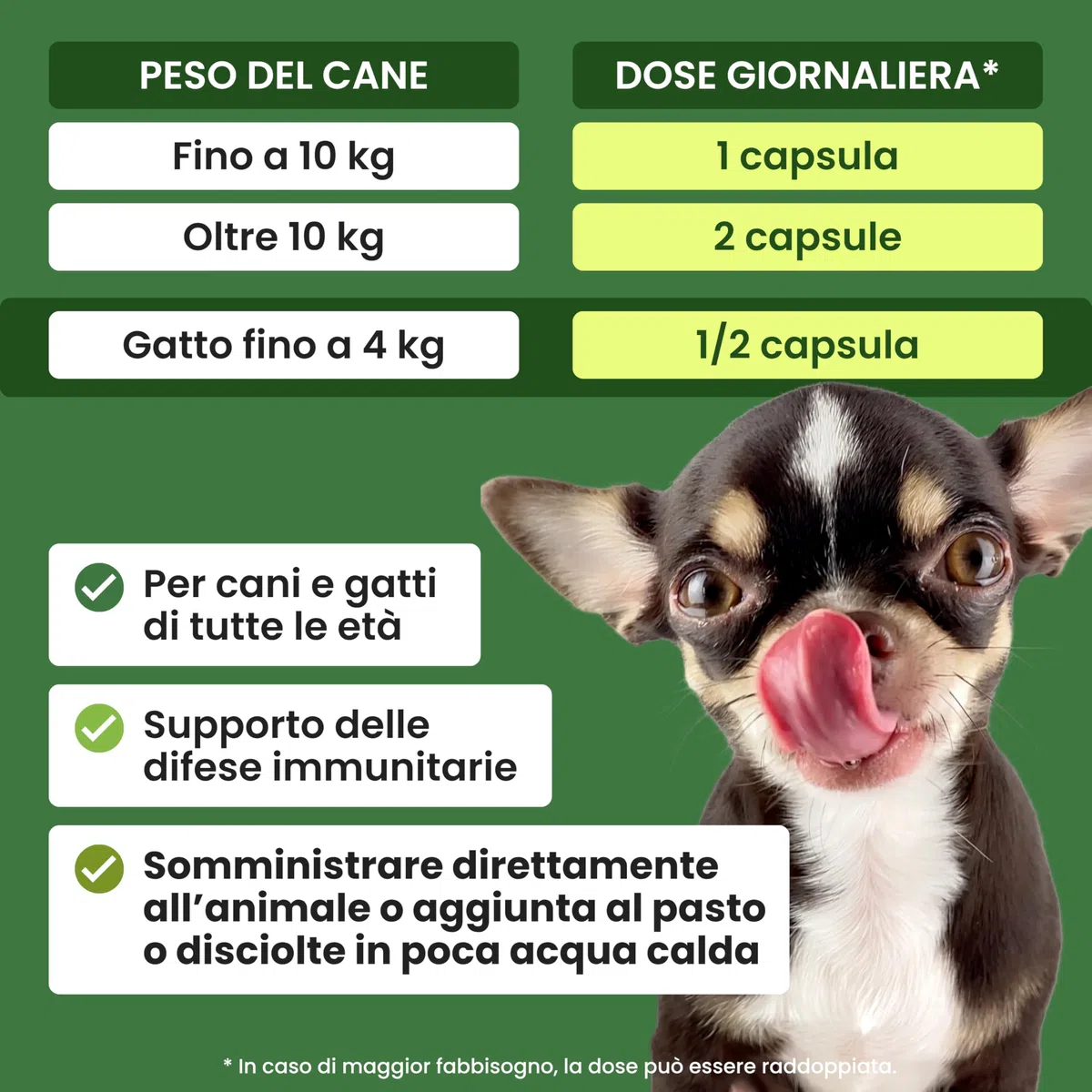 Trebifarma Immunov Phyto 40 Compresse per Cani e Gatti – Supporto Naturale al Sistema Immunitario – Mangime Complementare con Azione Immunostimolante, Facile da Somministrare