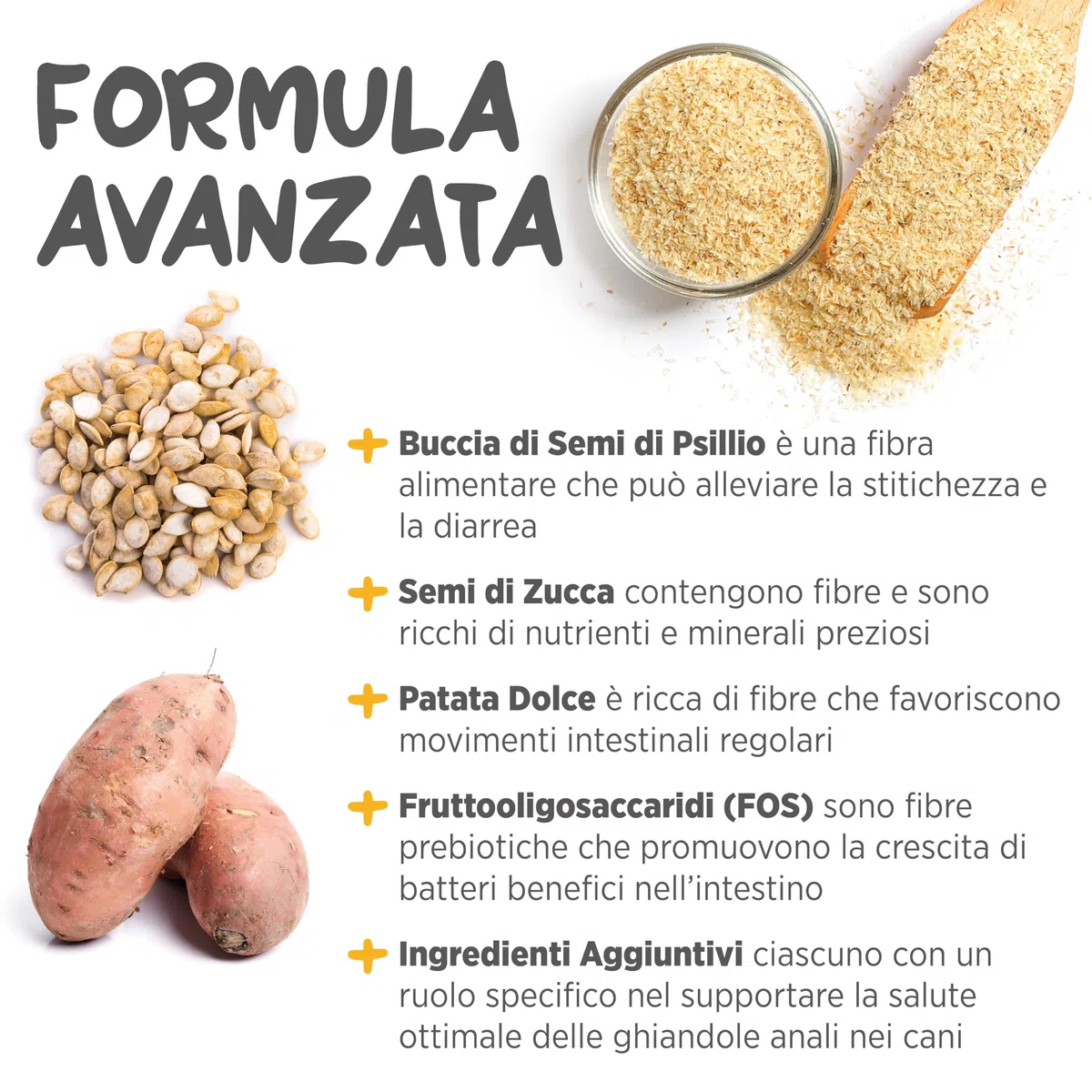 maxxipaws maxxiscoot Ghiandole Perianali e Apparato Digerente - Integratore per Cani, 140g